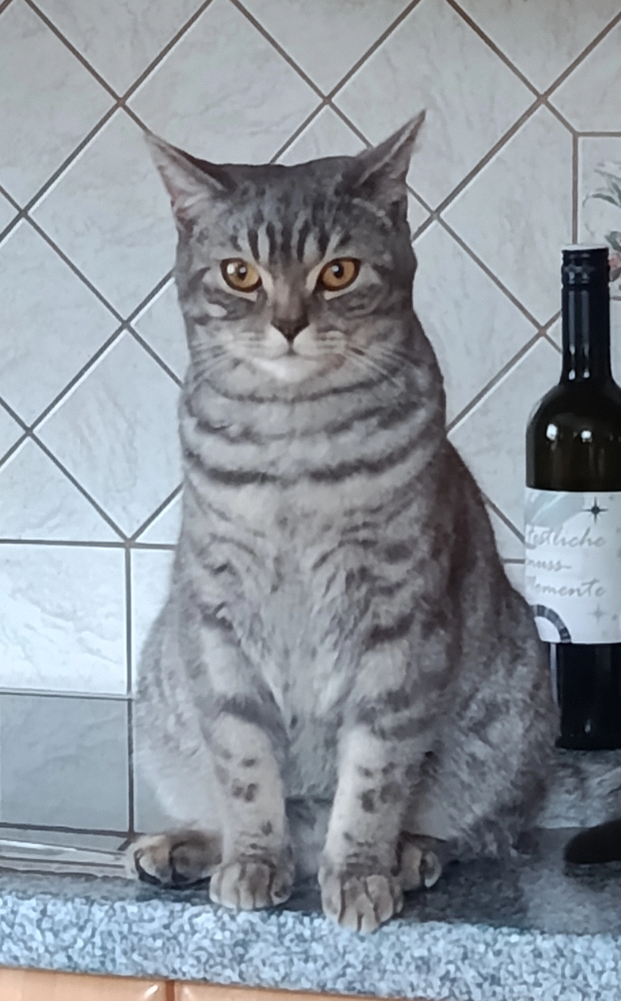 Puppi - Rettenpacherweg, Kremsmünster