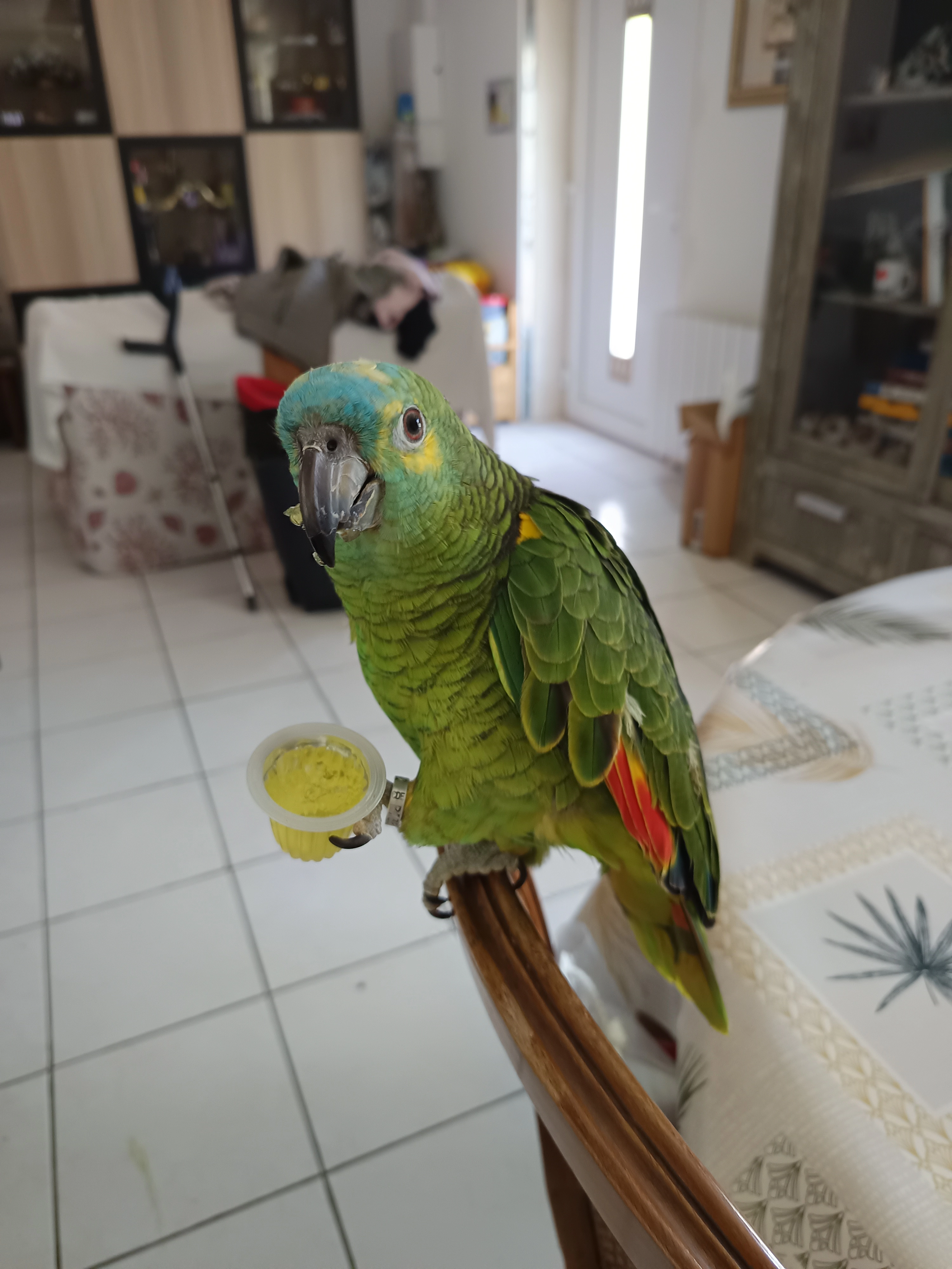 Lola - 29 La Chapellière, La Trinité