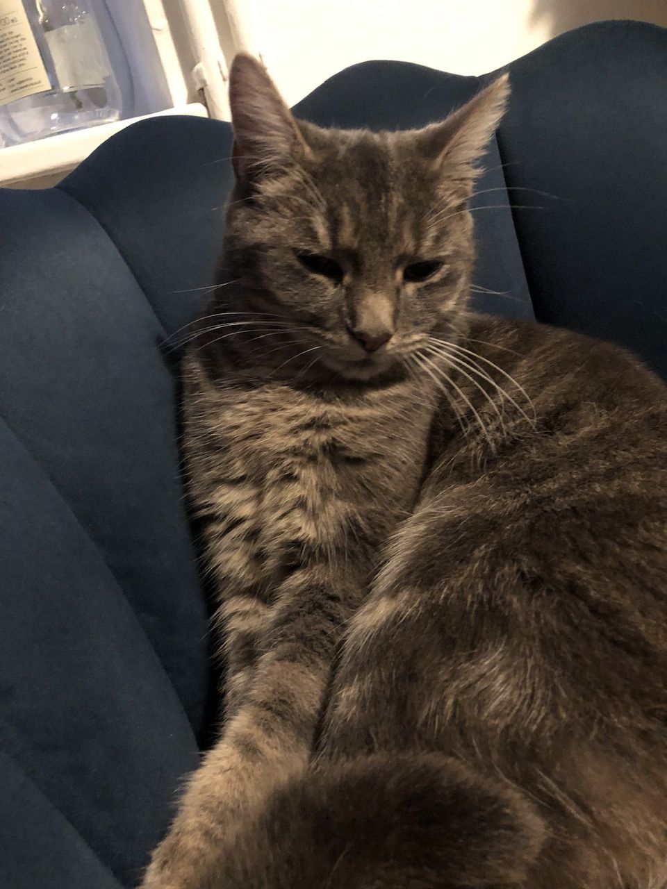 Boots - Rothwell Road, Malvern