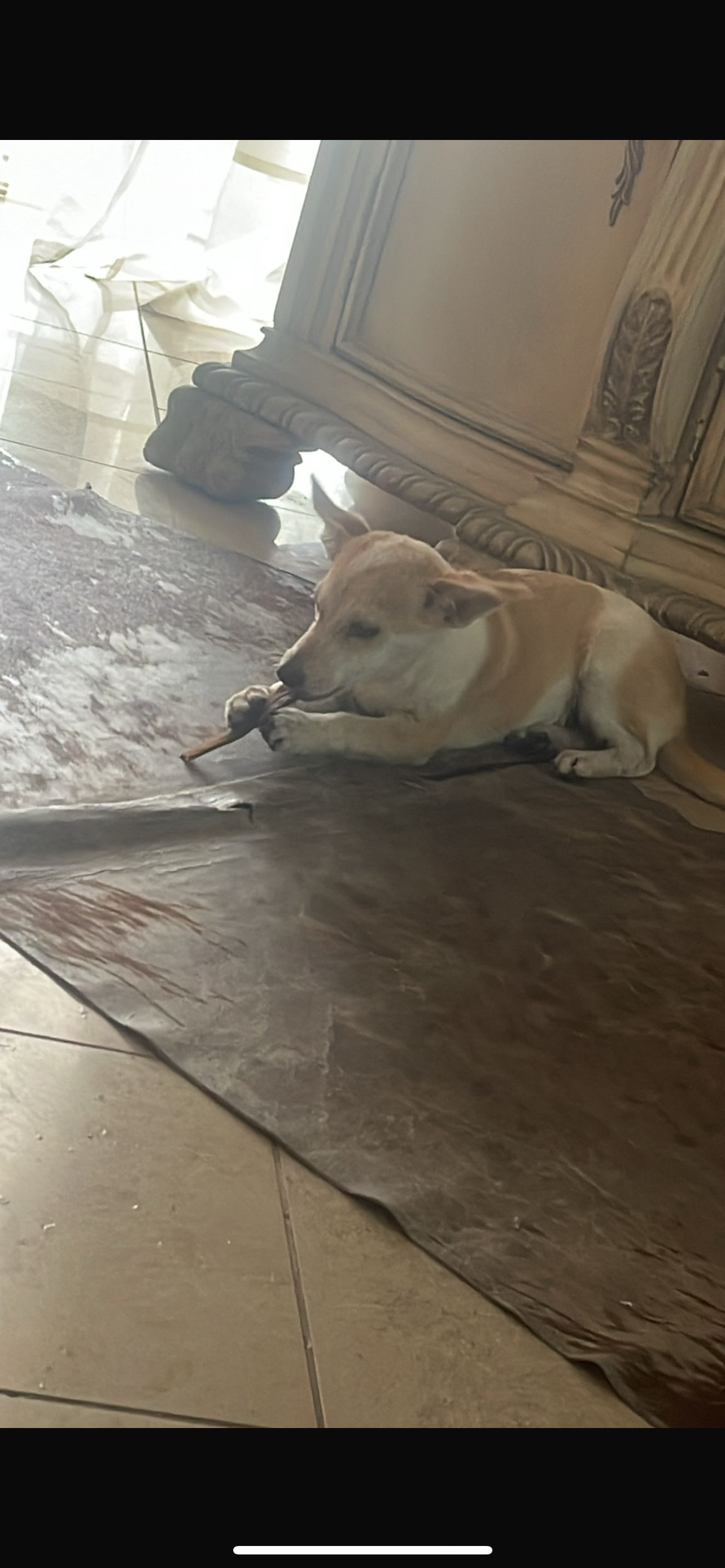 Jenni - Landsberger Straße, Gilching