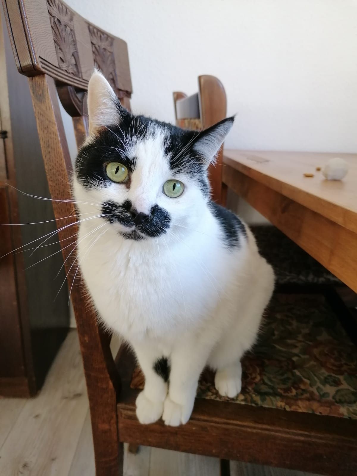 Lillebror - Frieda-Engel-Weg, Fürstenwalde/Spree