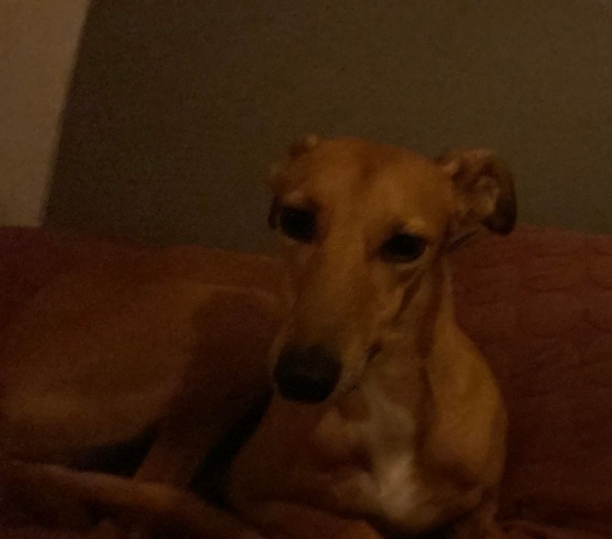 Willow - Maria Röhls Väg, Sköndal