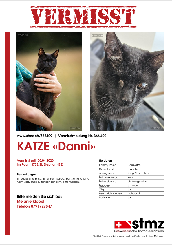 Danni - Kirchgasse, St. Stephan