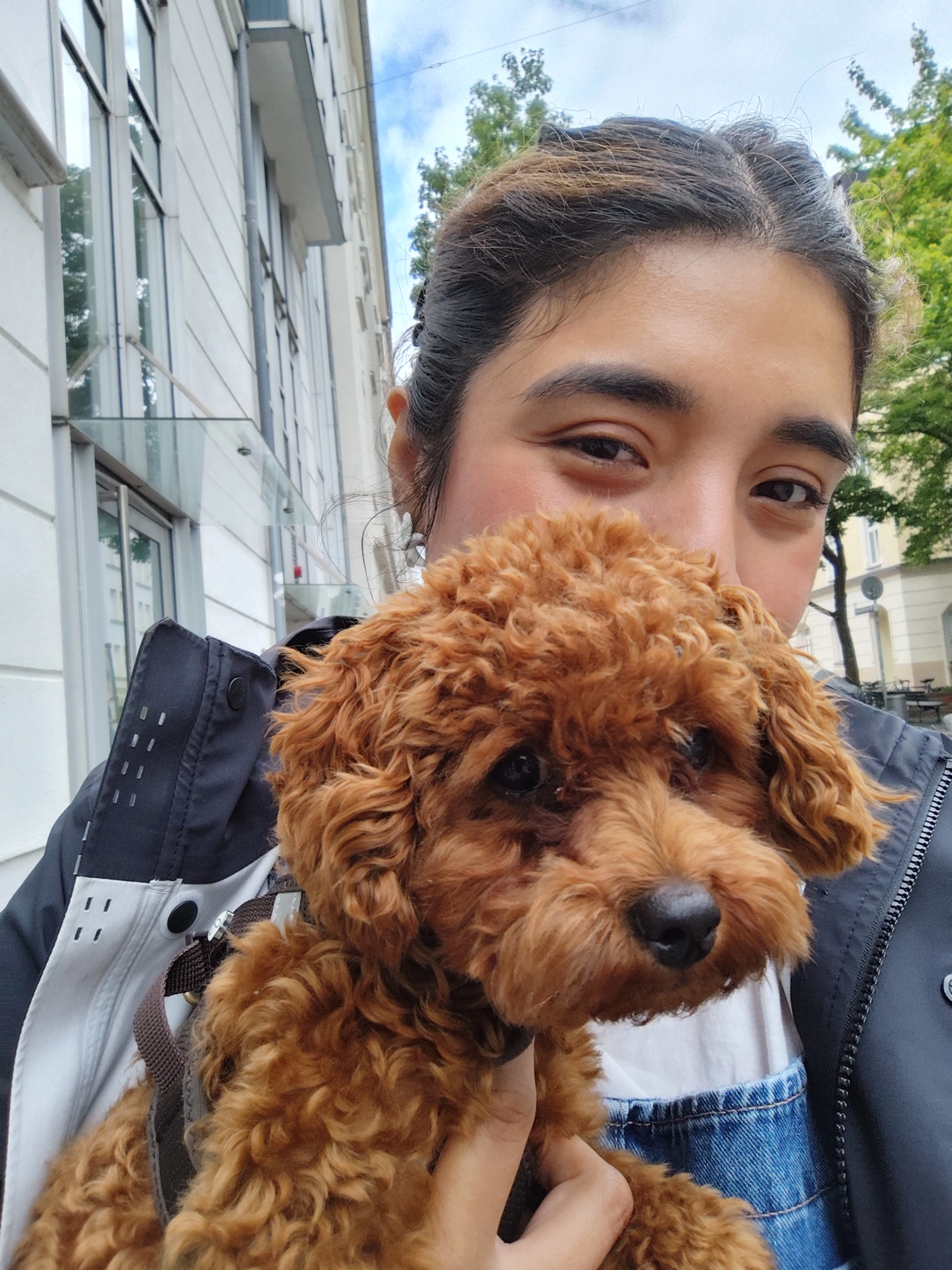 Shocko  - Dreimühlenstraße, München