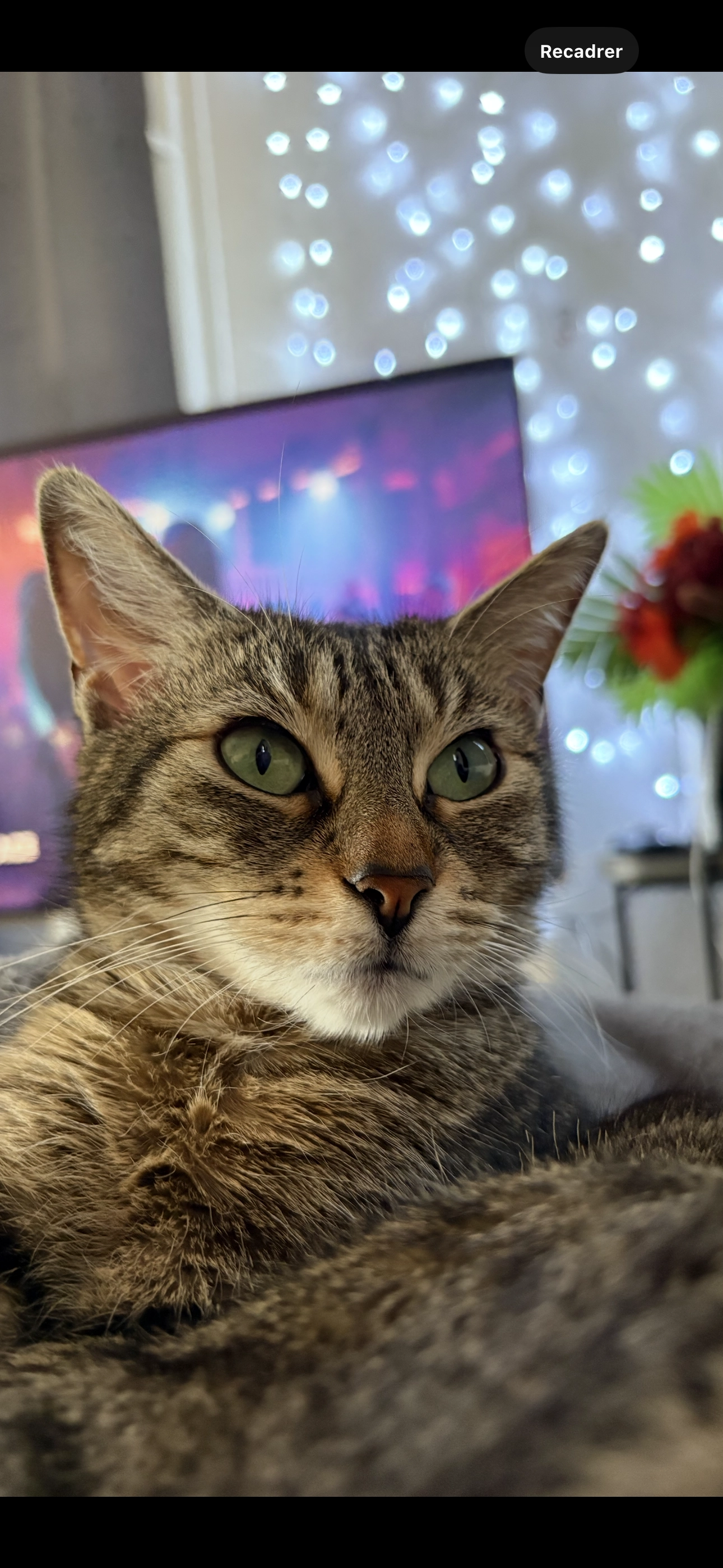 Cracotte  - Impasse Du Chapeau À Trois Cornes, Vienne-en-Val