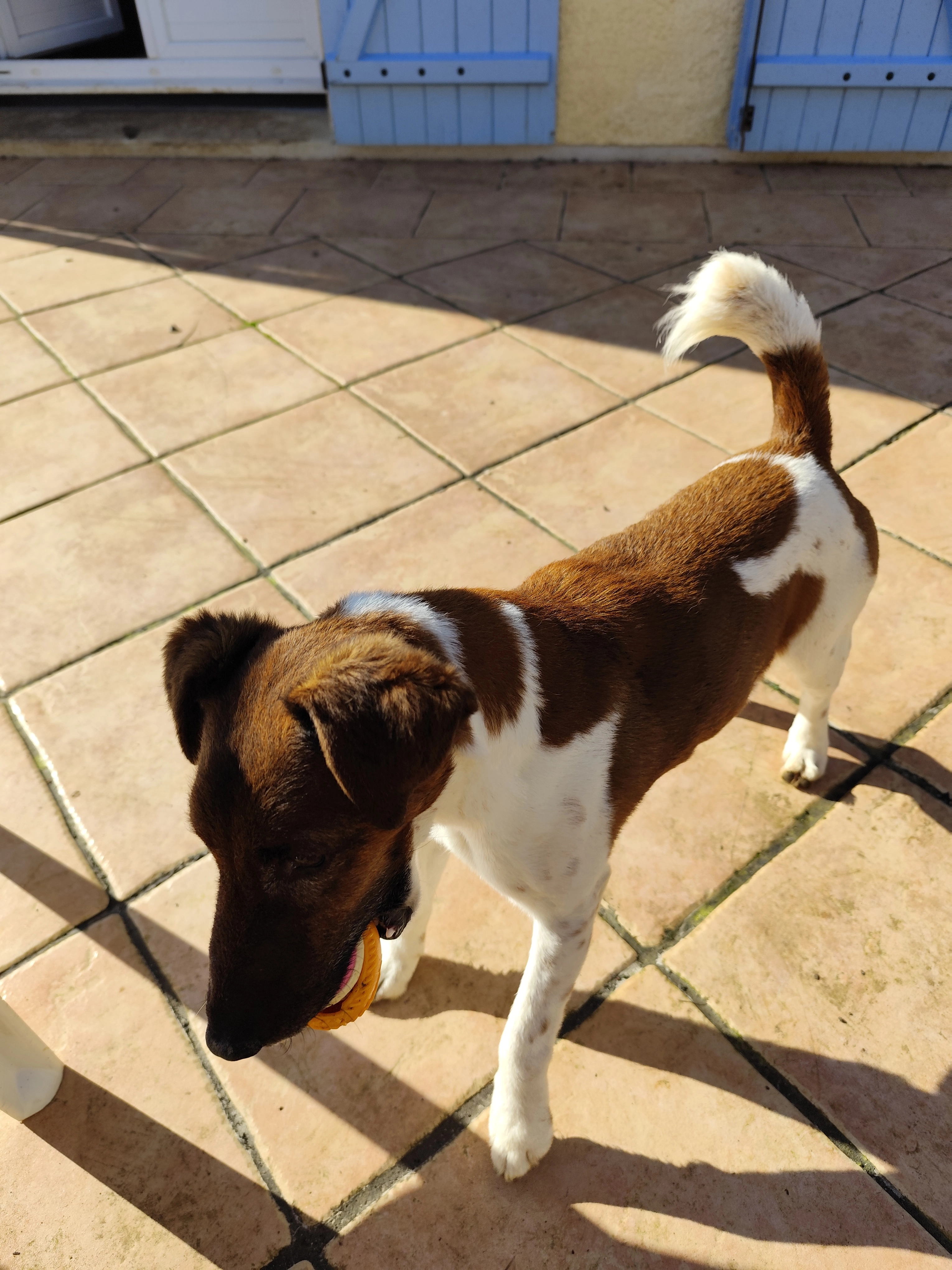 Pako  - Chemin Du Bouchet, Lavoux
