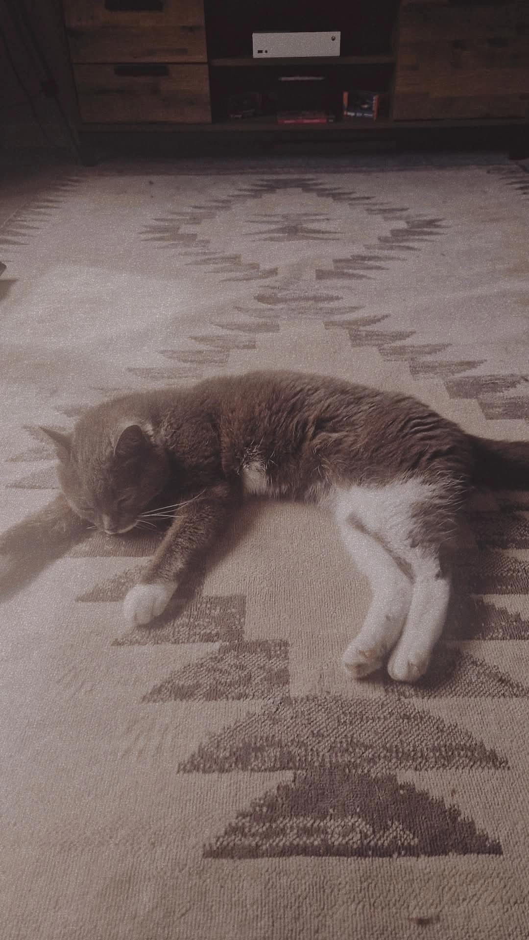 Luca  - Deas Avenue, Dingwall