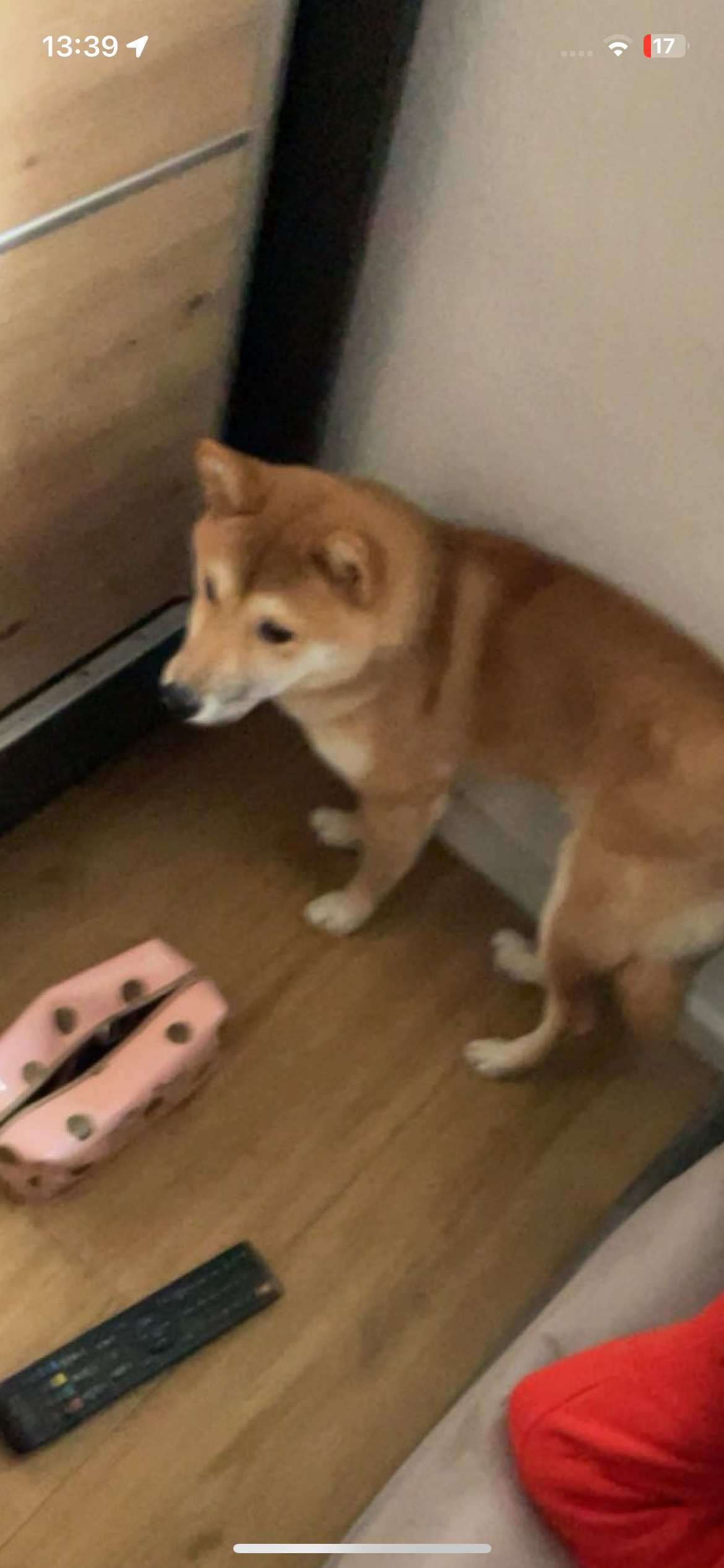 Charlie - Richard-Scherer-Straße, Bonn