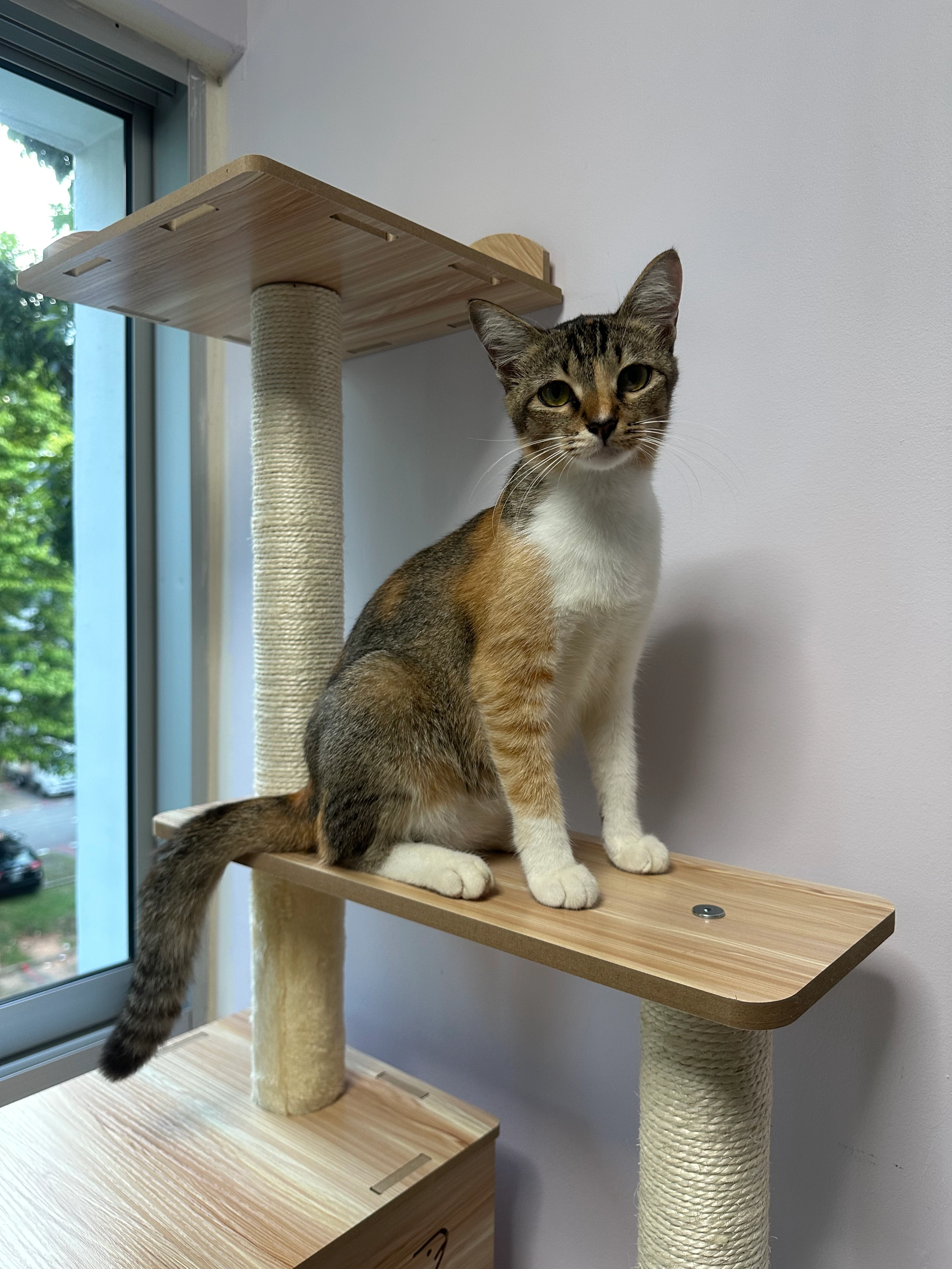 monster - Joo Chiat Place, Singapore