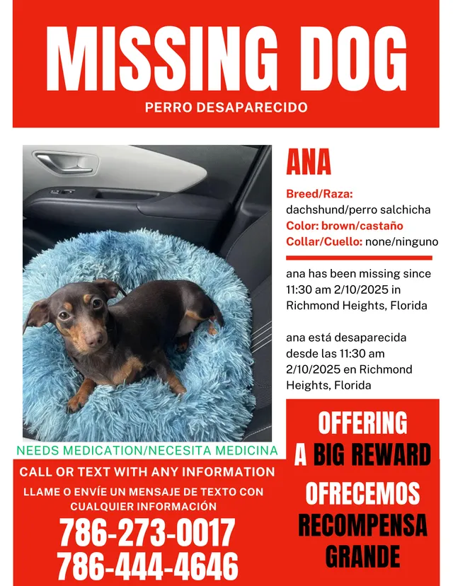 Ana - 10865 Gibson Dr, Miami