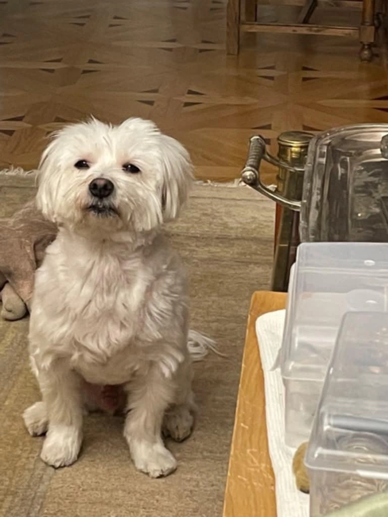 Pepsi - 150 Rue de Gand, Tourcoing