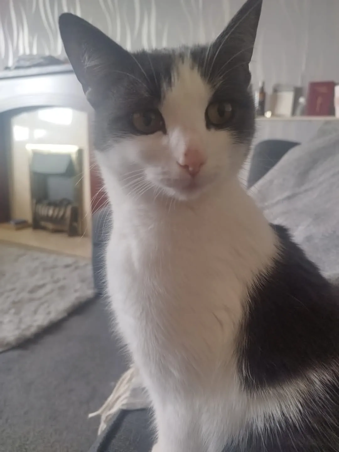 Angel - Liberty Avenue, Bargeddie