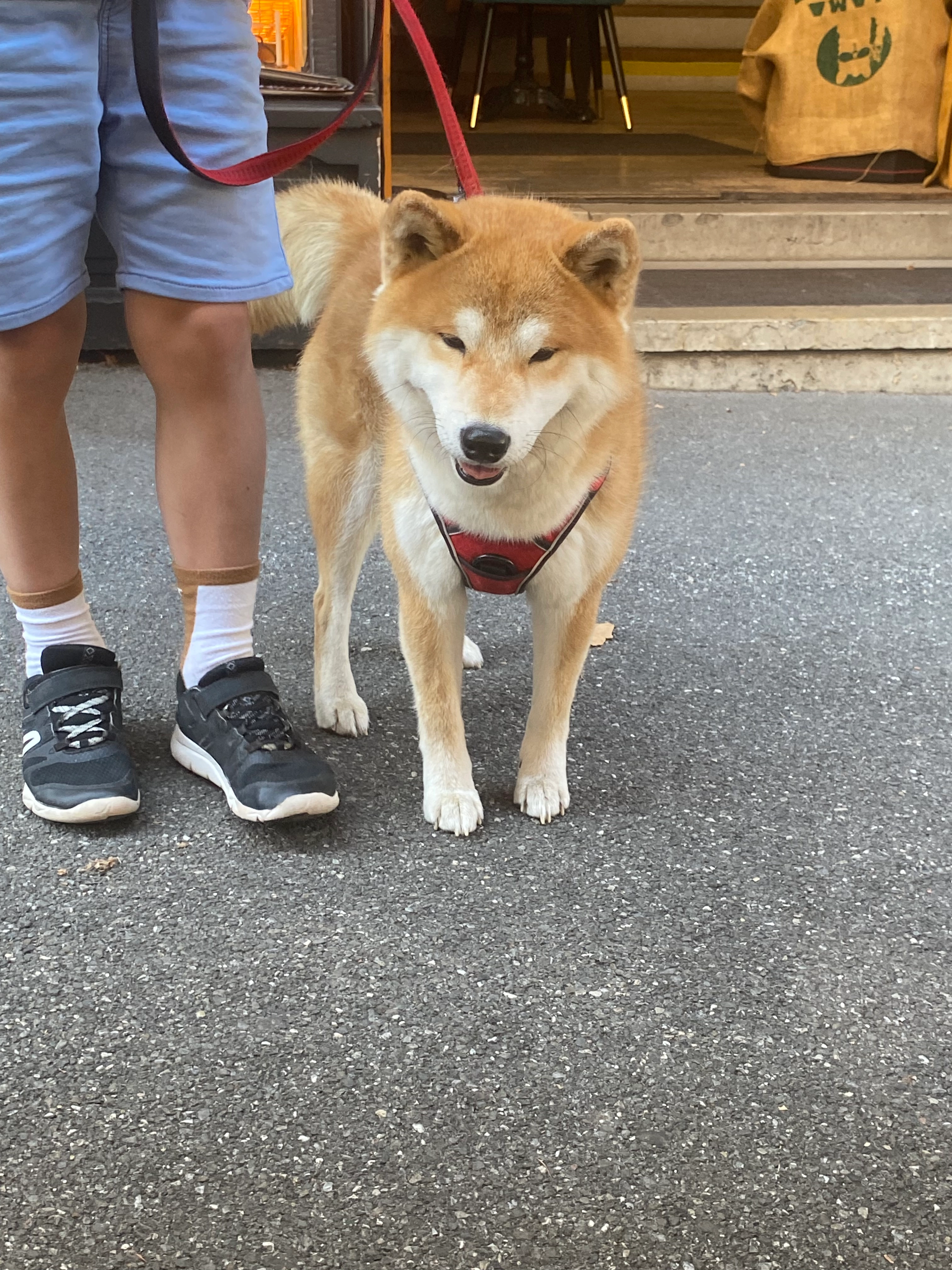 Ushiro  - Rue du Port, Thonon-les-Bains