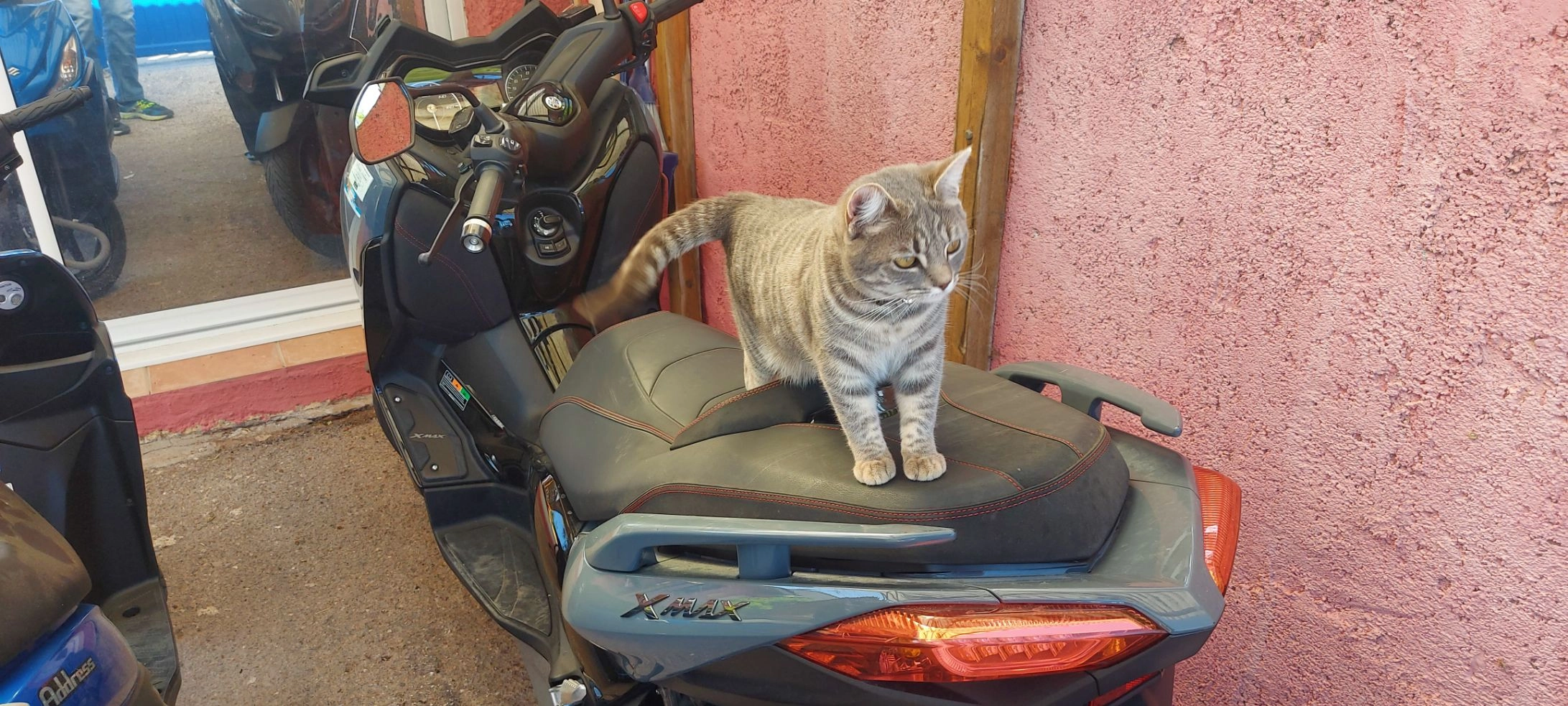 Vanille  - Rue André Maurois, Mauguio