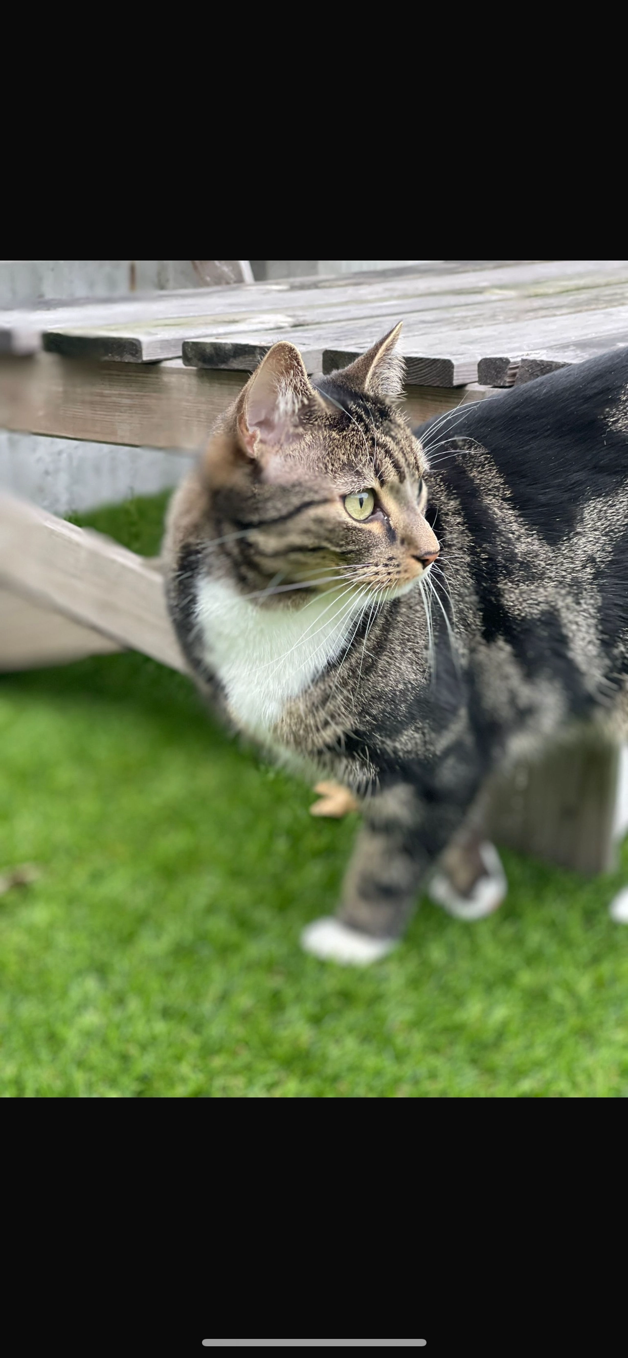 Fisek  - Molenerf 4, Westerlo