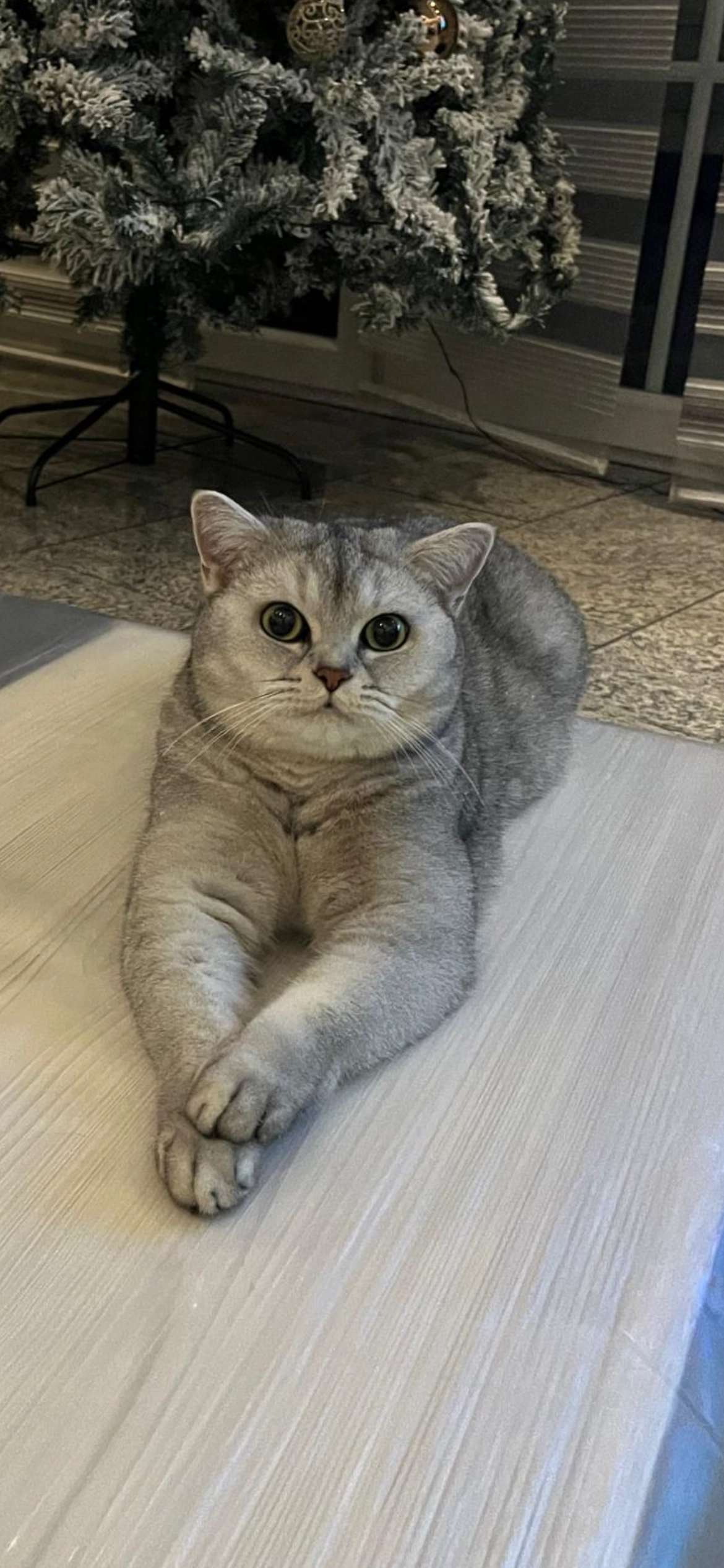 Milky - Kaiser-Wilhelm-Straße, Beckum