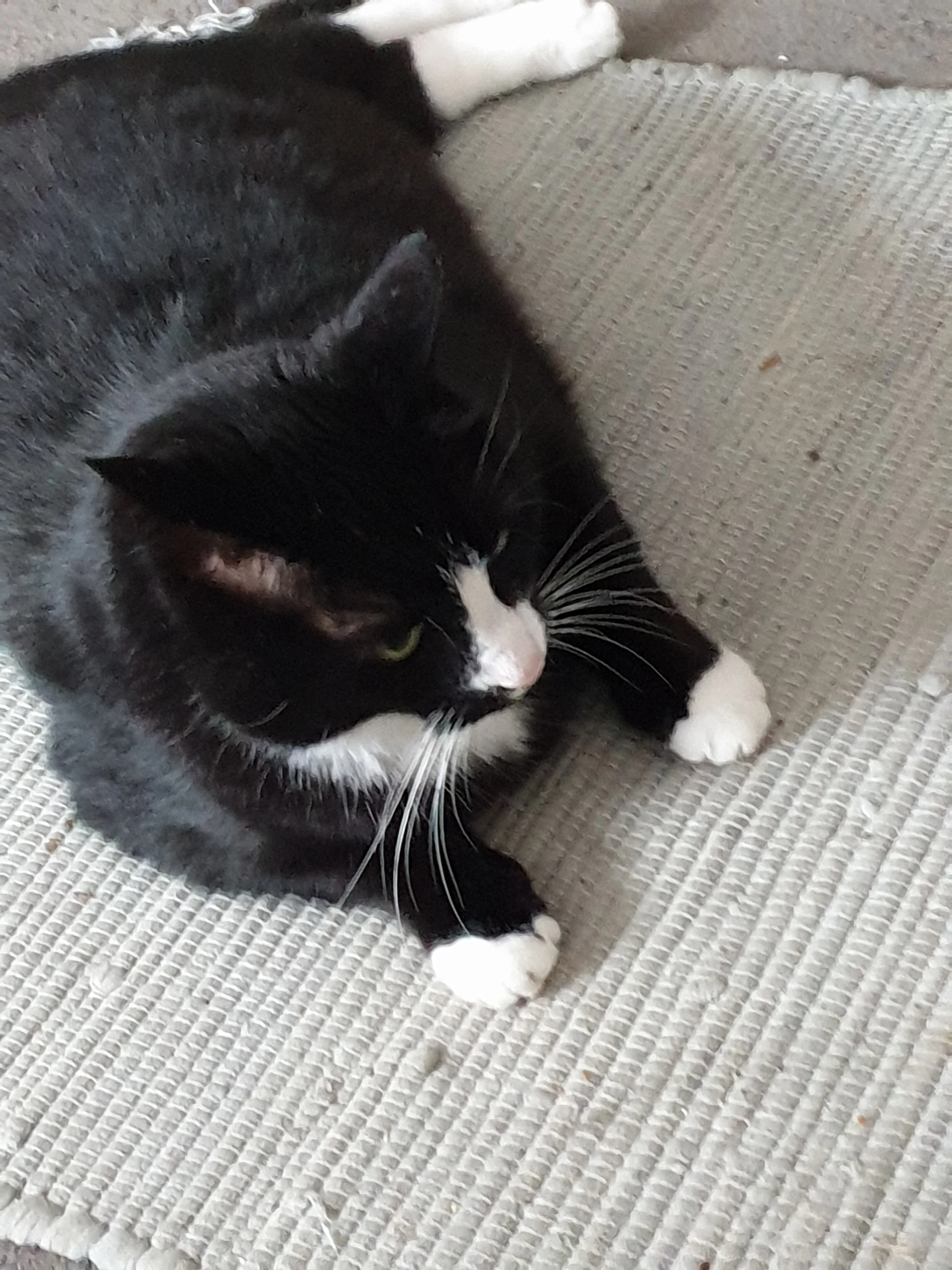 Lissi - Dietesheimer Straße, Frankfurt am Main