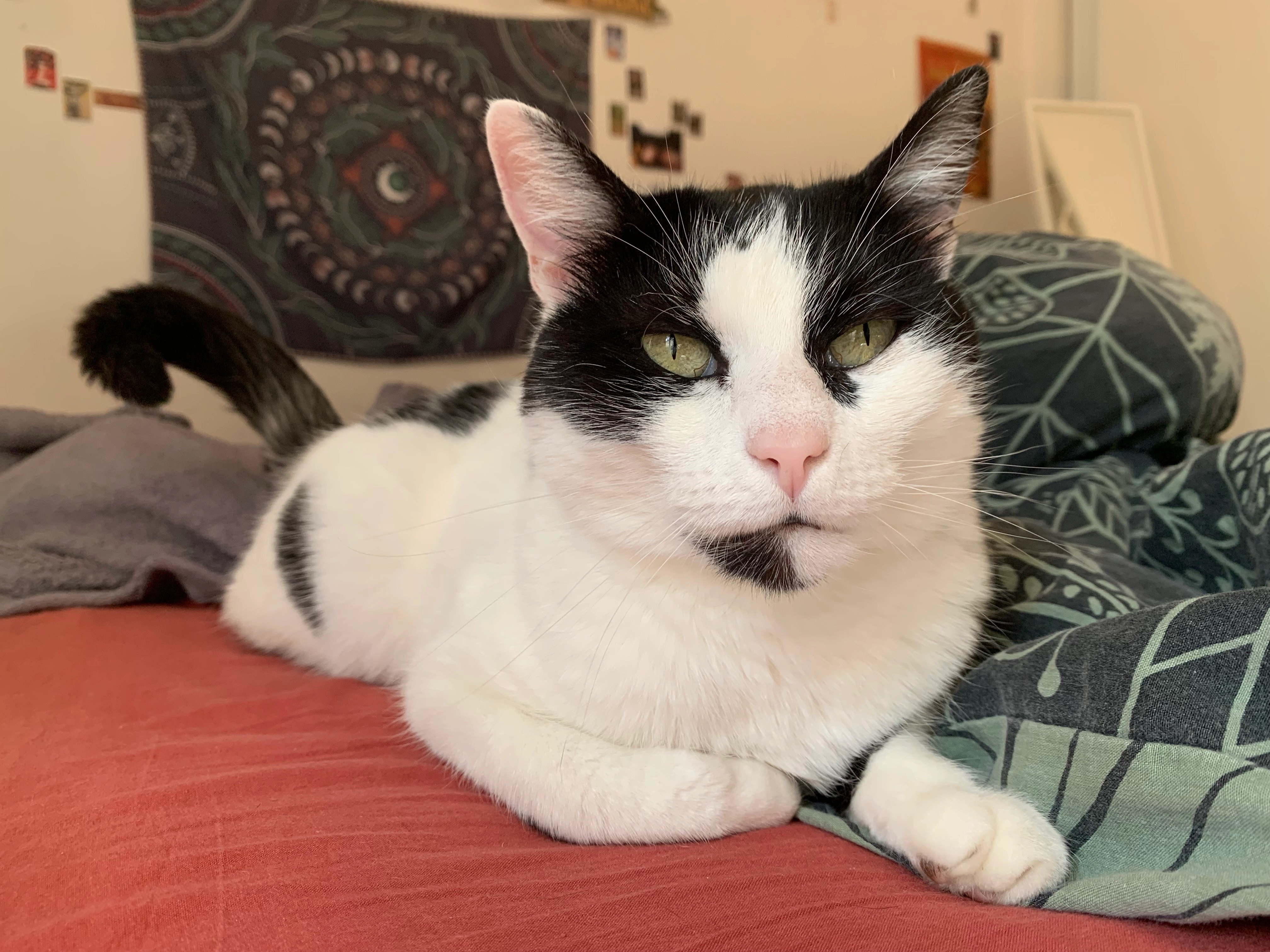 Mona - 45 Rue des Sports, Notre-Dame-de-Monts