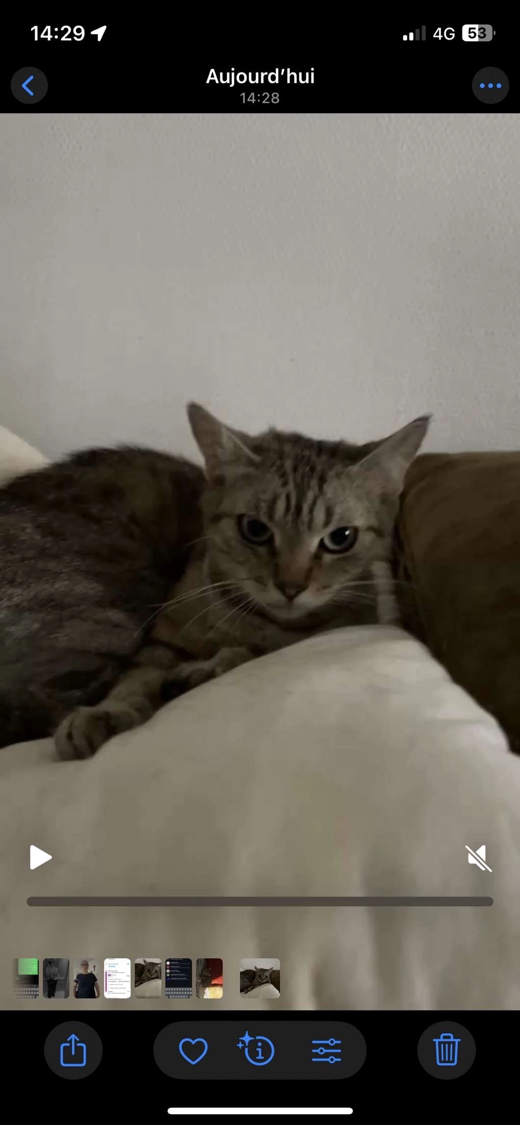 Donuts - 23 Rue Maximilien de Robespierre, Saint-Nazaire