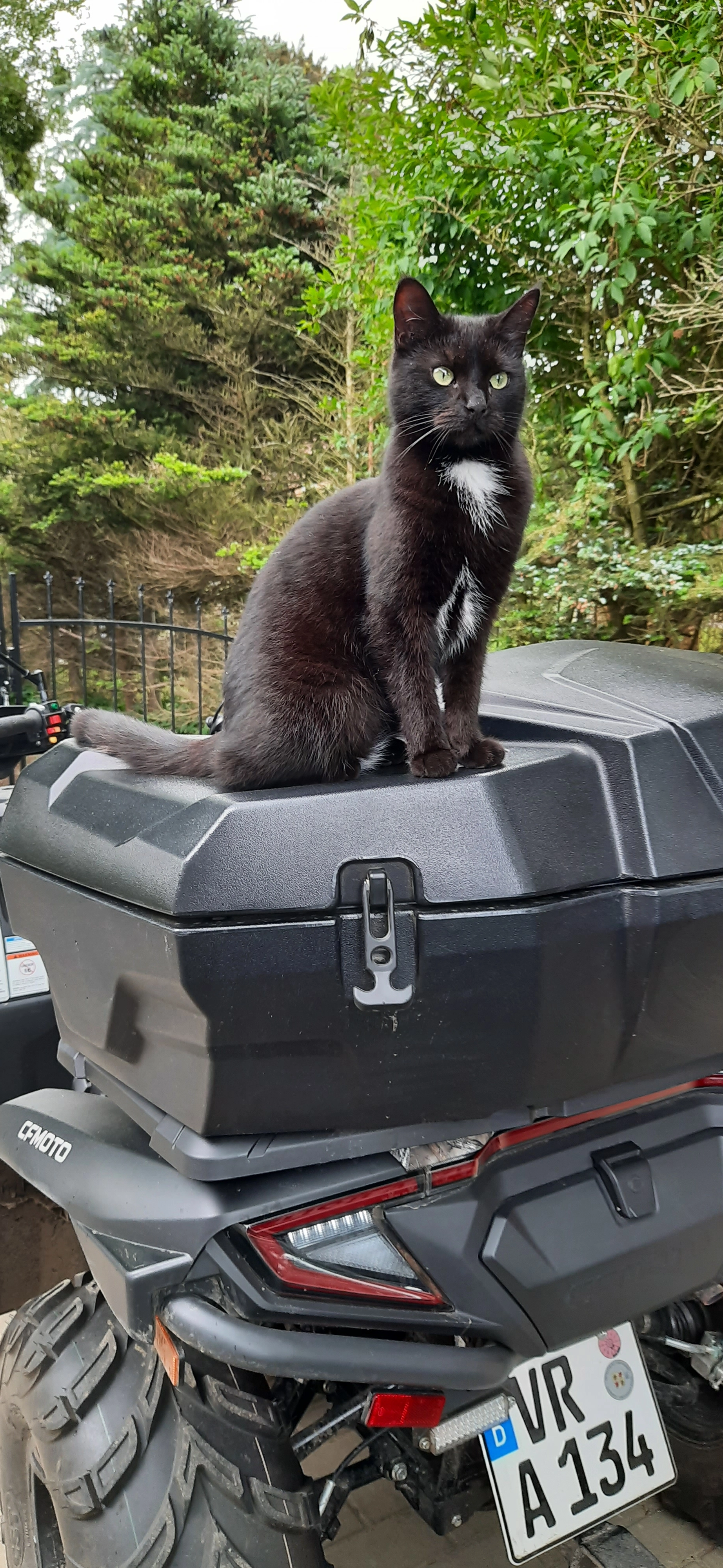 Püppi  - Dömitzow, Sundhagen