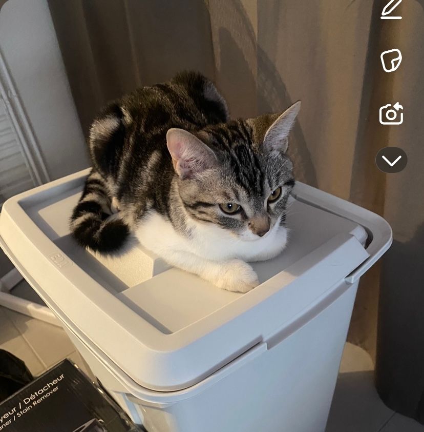 Mimi - 2 Rue pina bausch, Juvignac