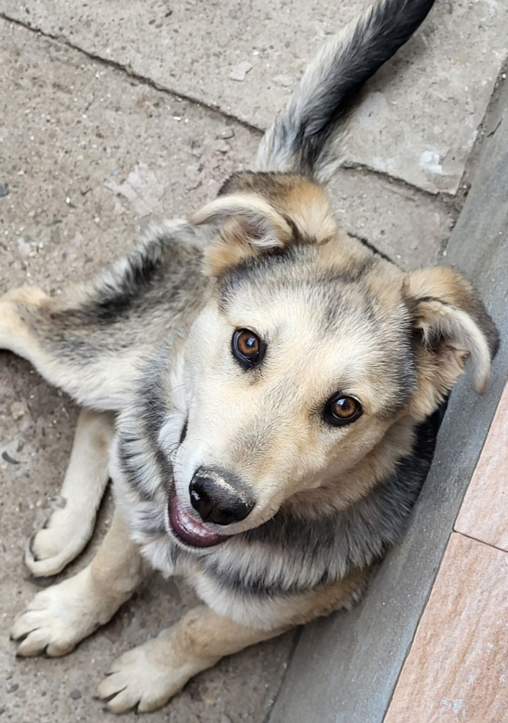 Jolie - Strada Izvoare, Ploiești