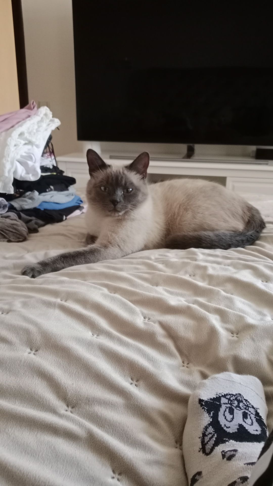 Mimi - Aleea Tudor Vladimirescu, Târgu Jiu