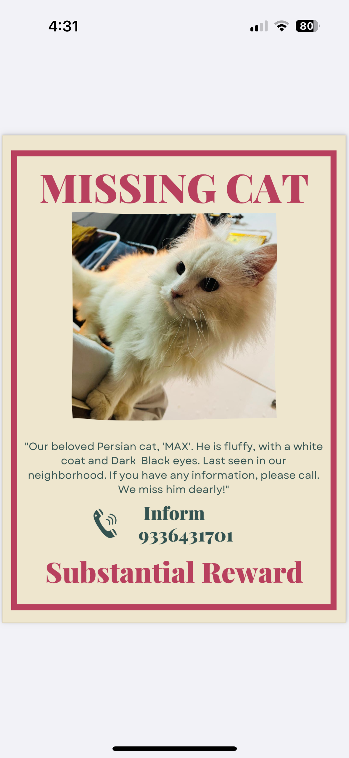 Max  - Sector 14, Lucknow