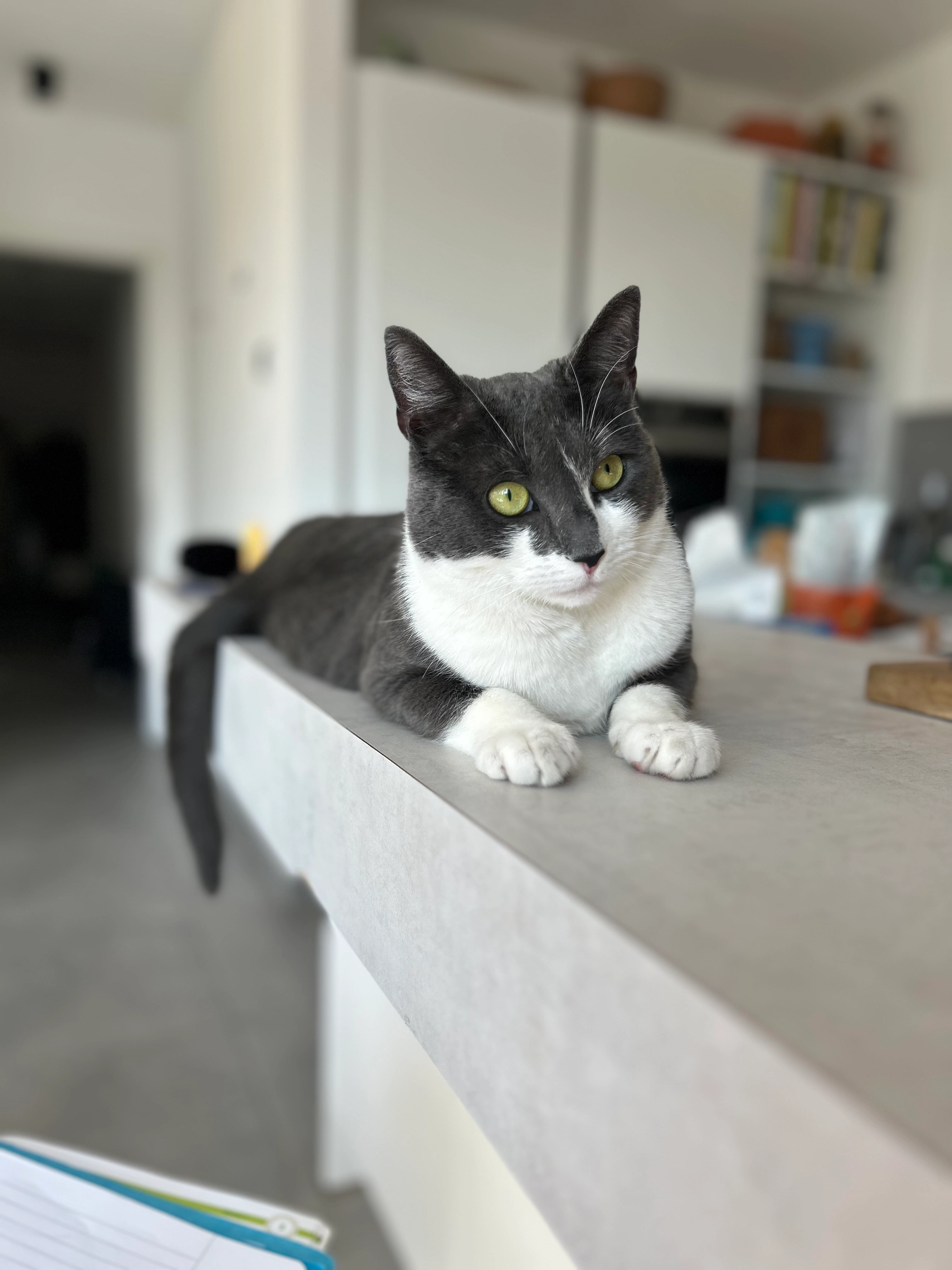 Belle - Obernbergstraße, Bad Salzuflen