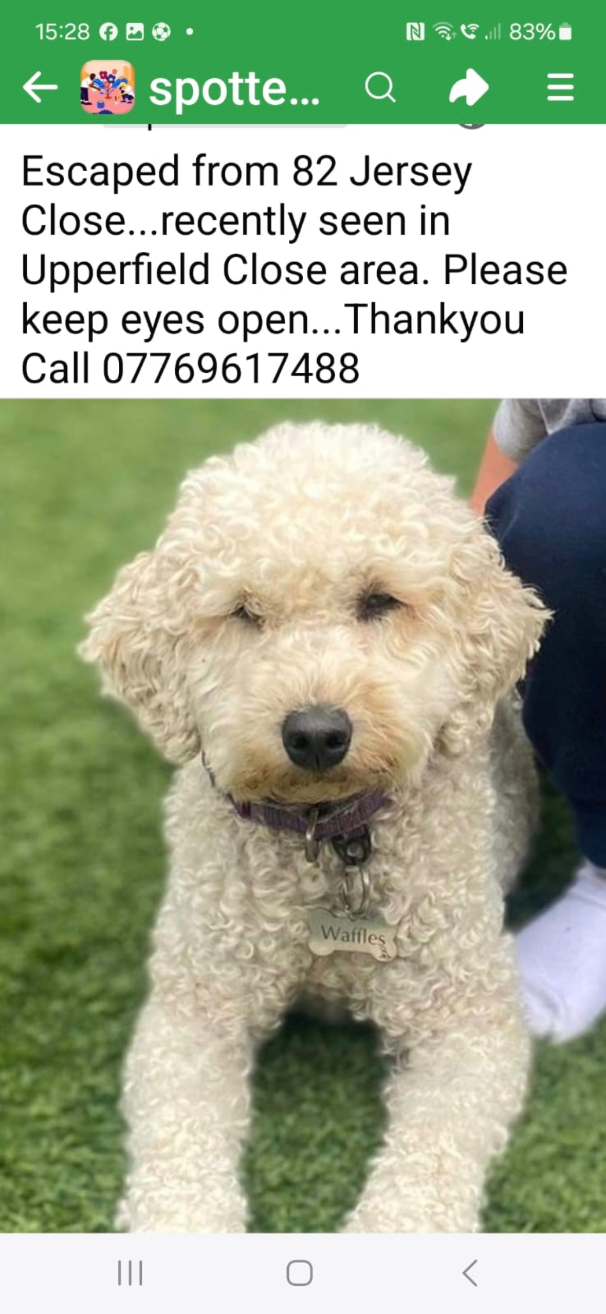 Waffles - Kingscote Close, Redditch