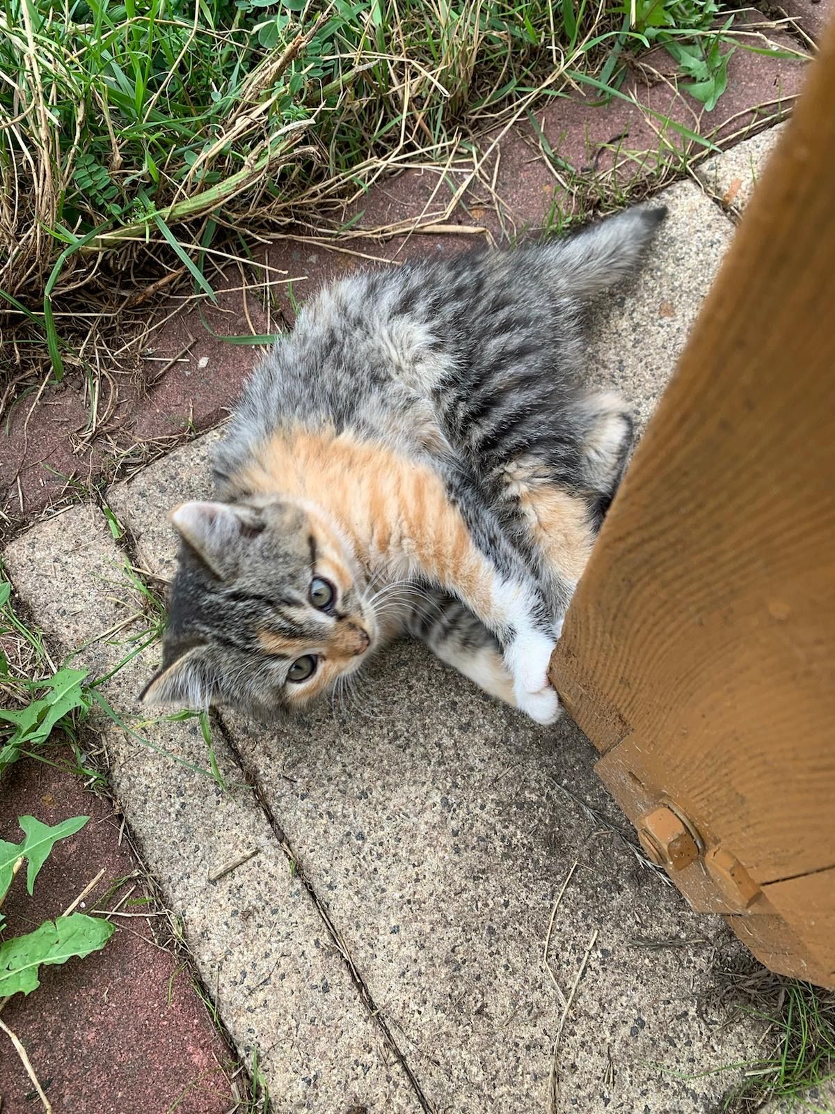 Honey - Bahnhofstraße, Pfarrweisach