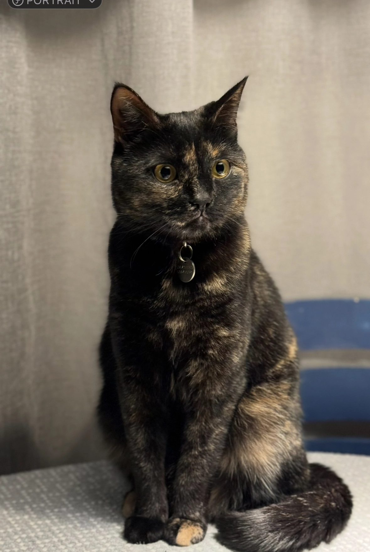 Kisulia - Upper Vake, Tbilisi