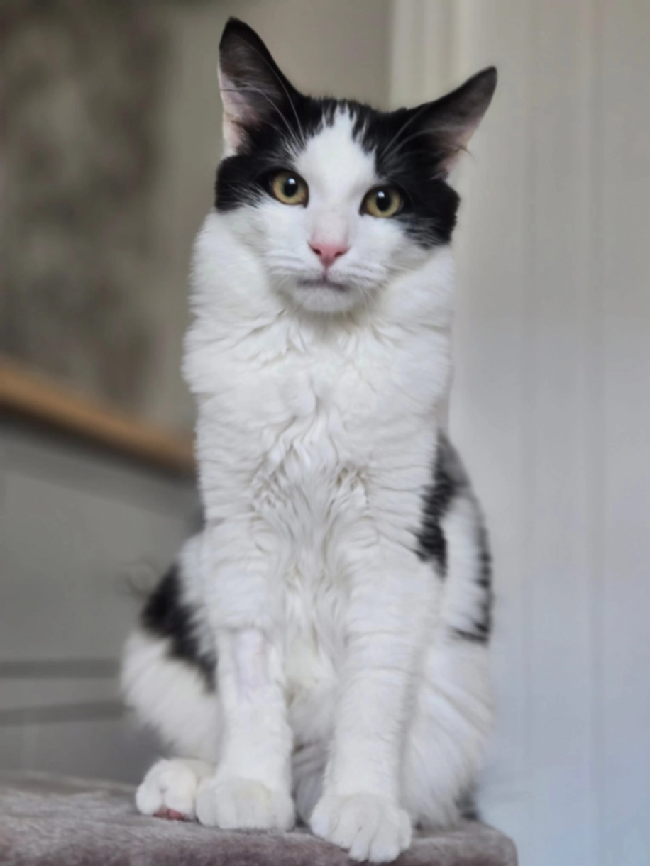 Gary - Mount Pleasant Road, Manchester