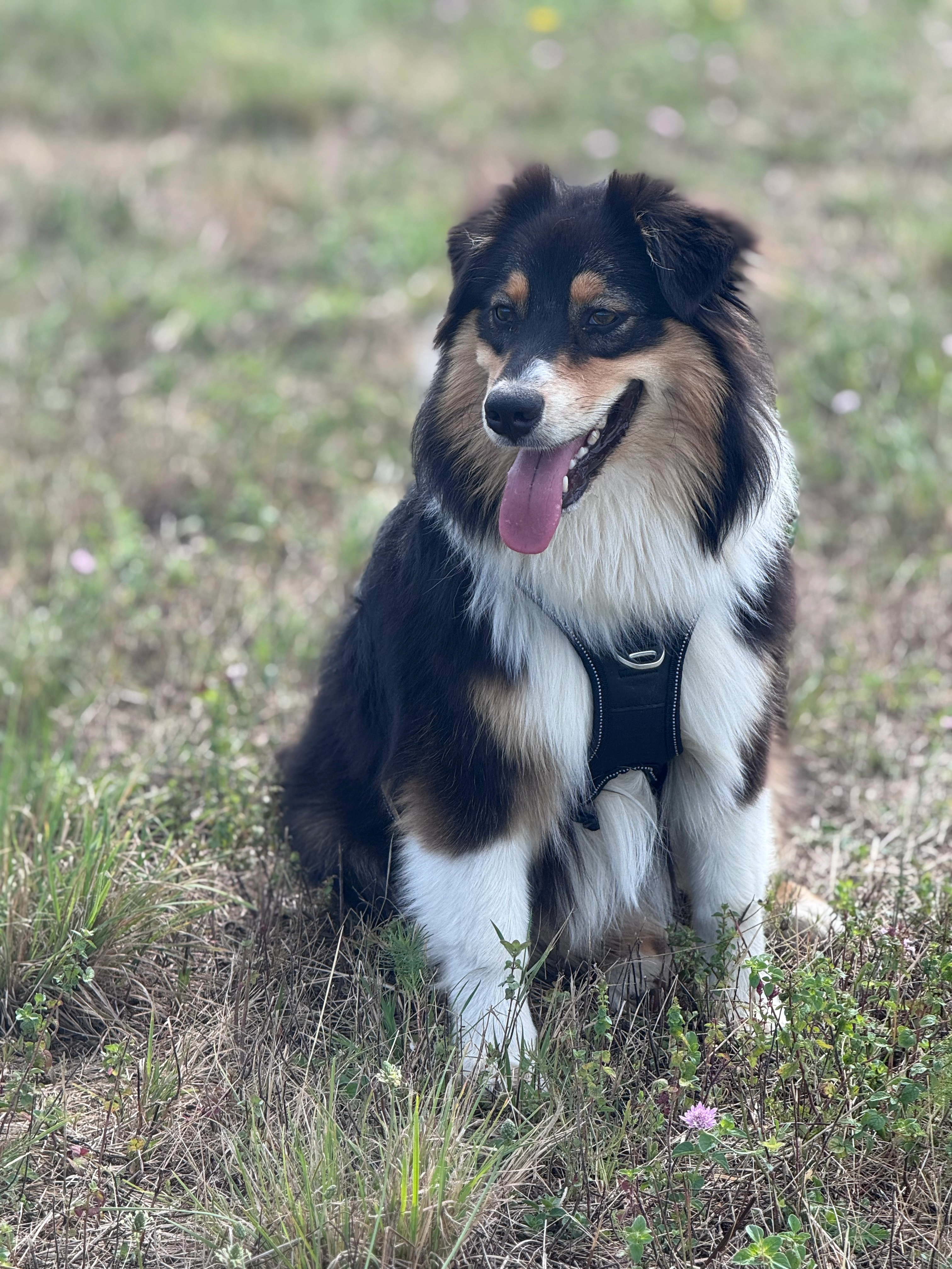 Volga - Rue Du Beu, Bruley