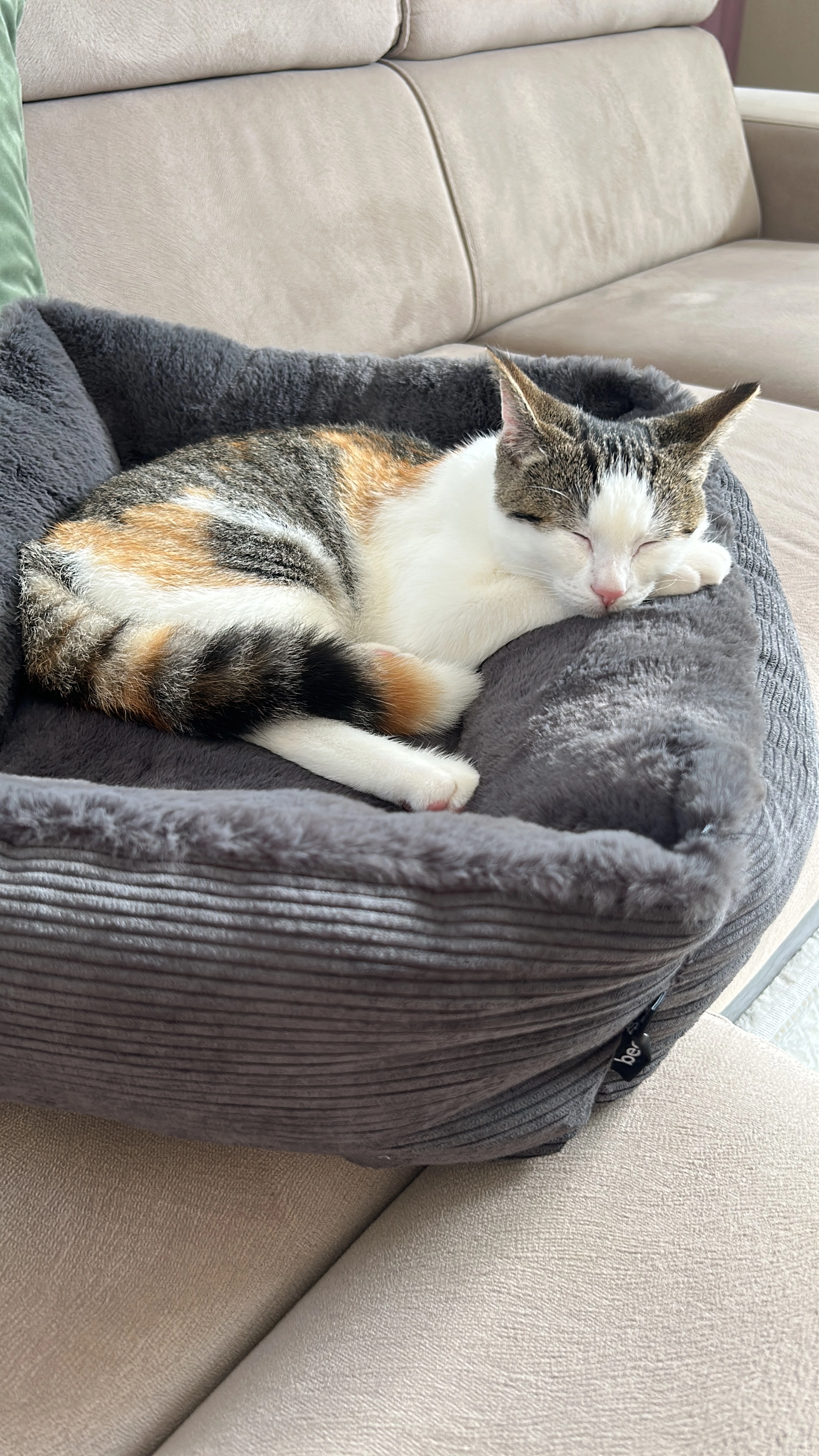 Minnos - Schoutendreef, Den Haag