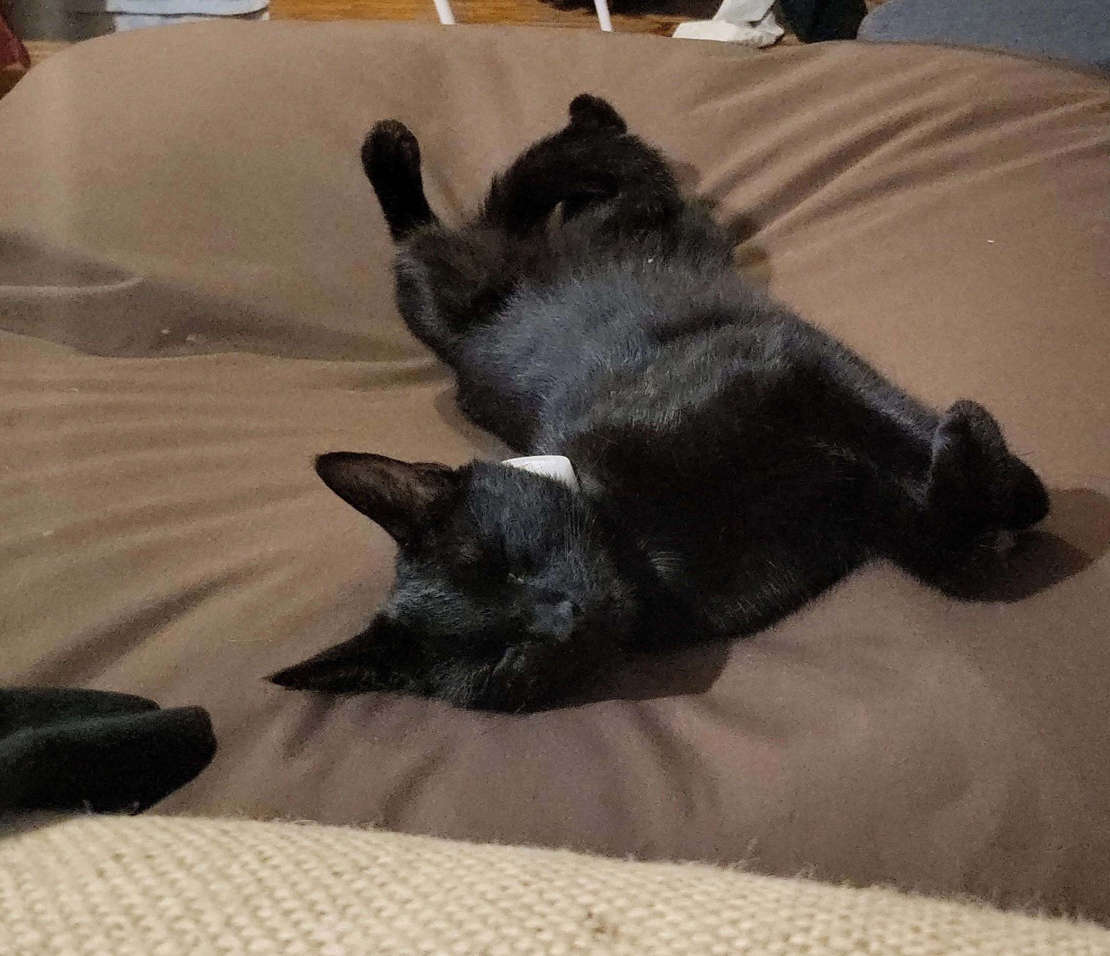 Arthas - Aschaffenburger Straße, Hösbach