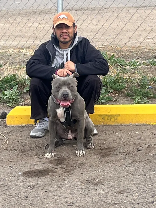 Geovanni - 2426 W 13th Ave, Denver