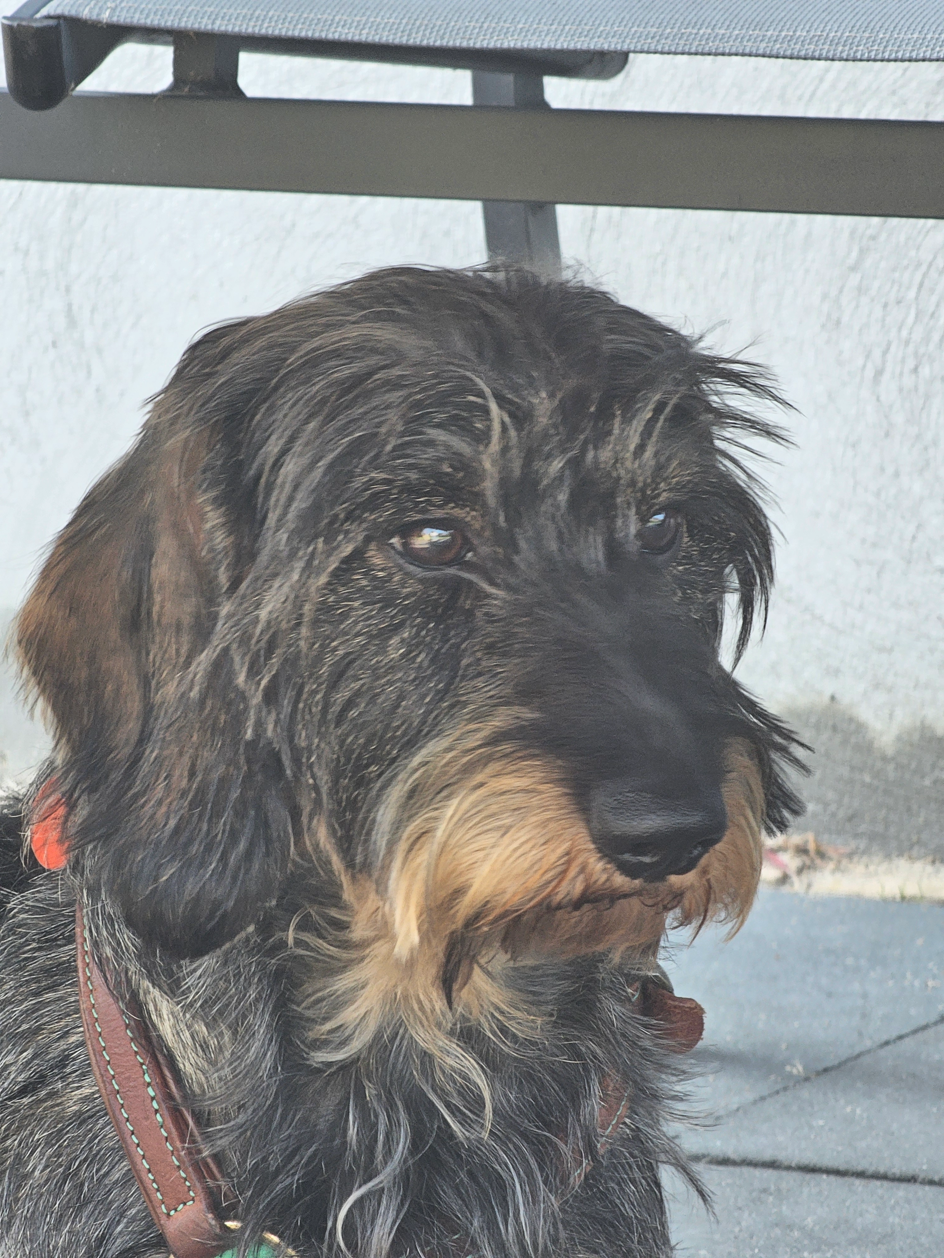 Teun - Gageldijk, Maarssen