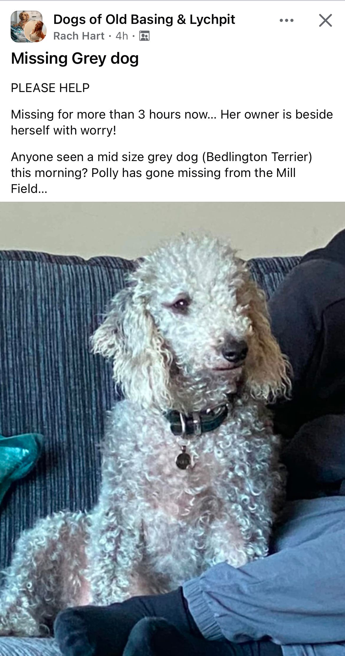 Polly - Basing Road, Basingstoke