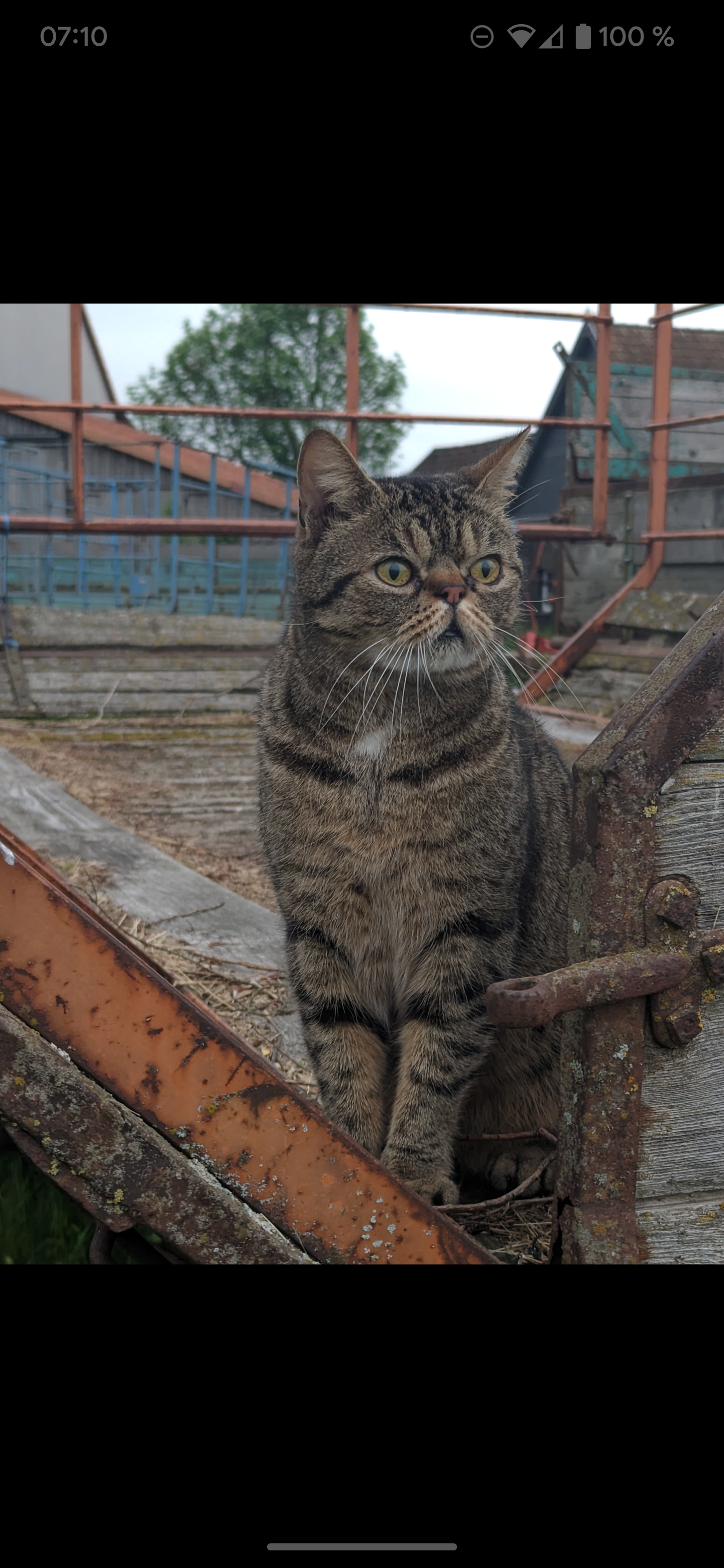 Gimli - Kaiserweg, Meeder