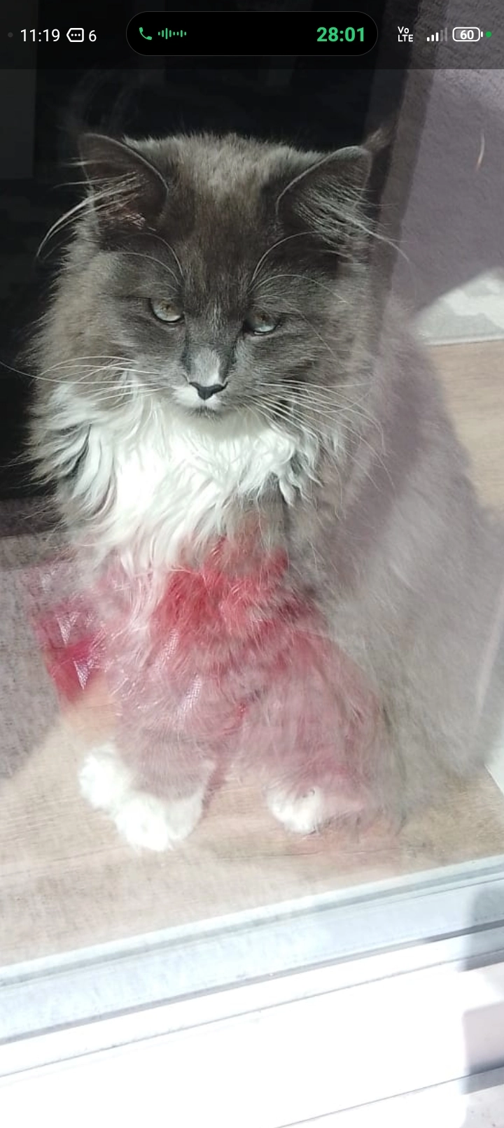 Sky - Lilienstraße, Vilseck