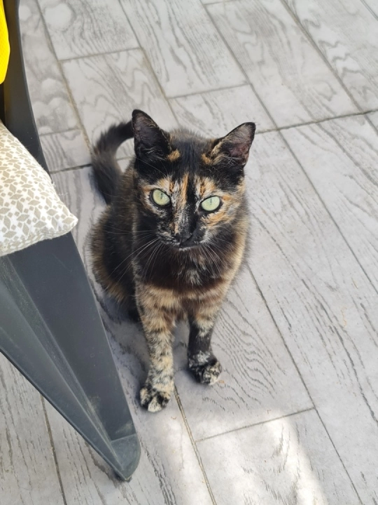 Oly - Route Des Ménafauries, Charmes-sur-Rhône