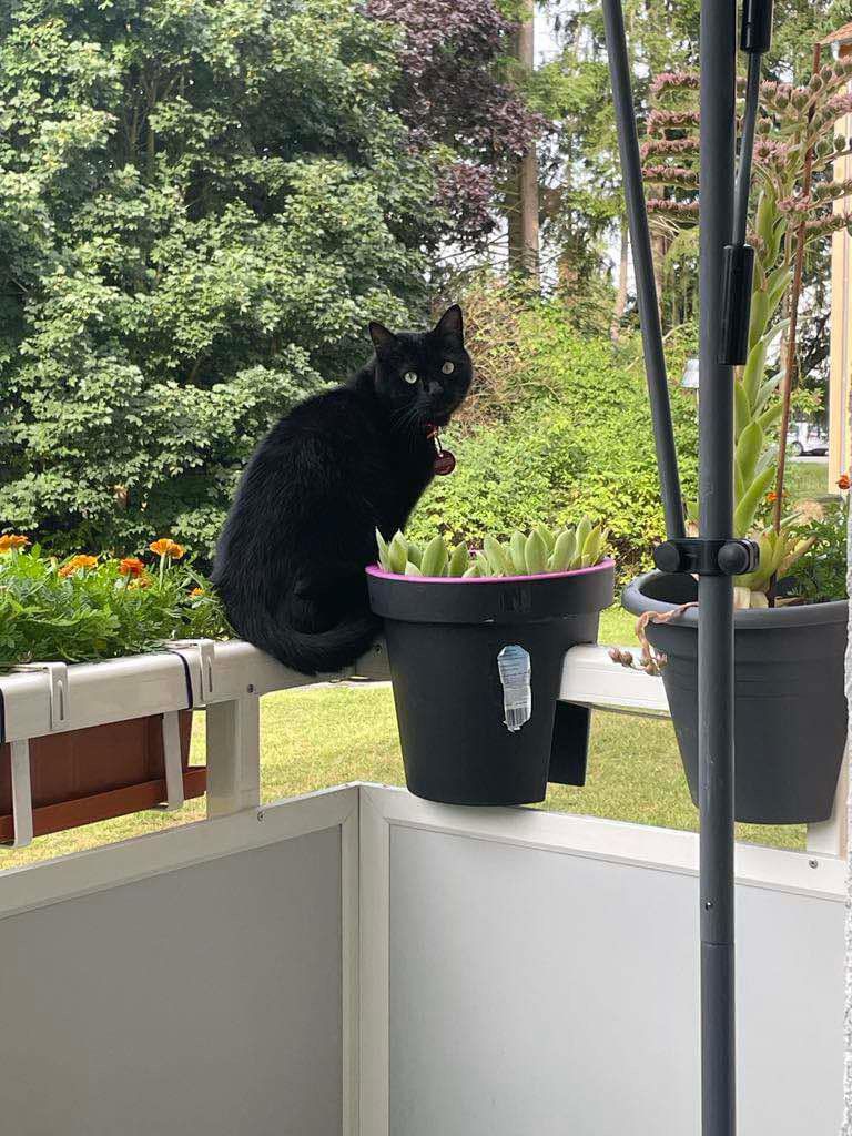 Leo - Herderstraße, Neustadt an der Donau