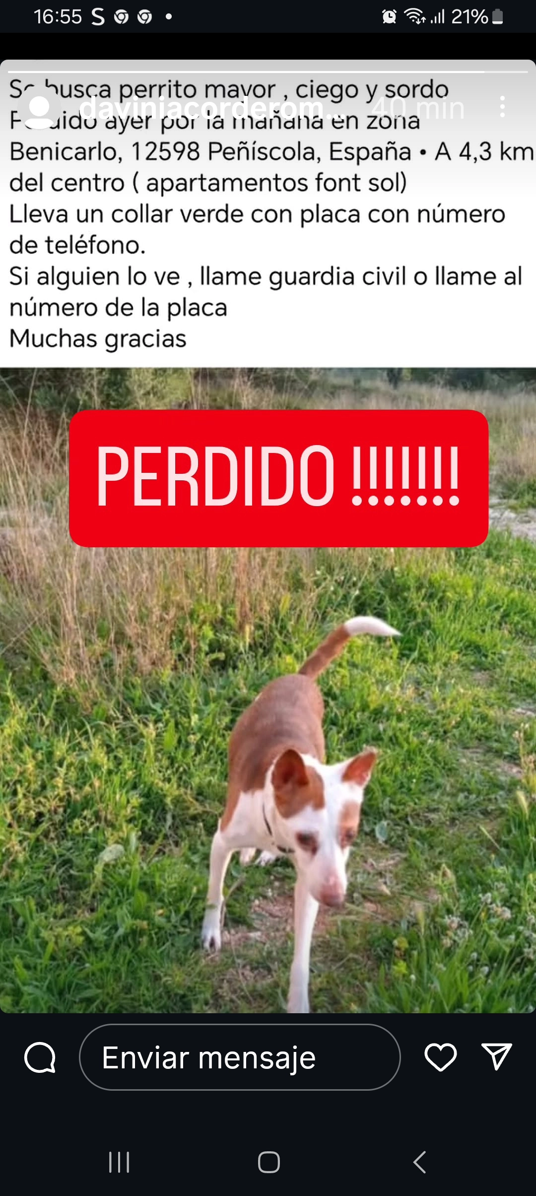 Lijero - Calle de Benicarló 5, Peñíscola