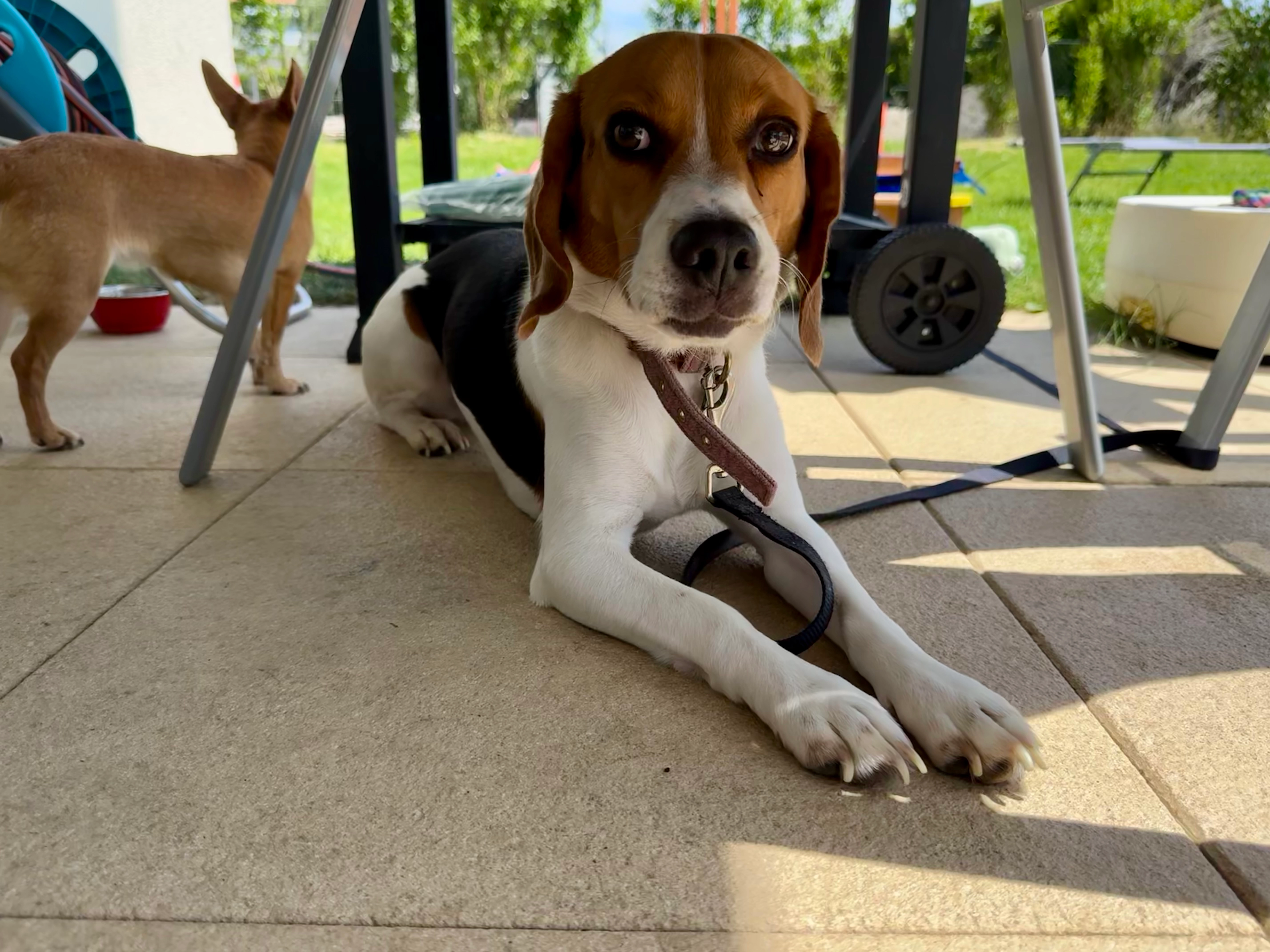 Bounty  - Rue de Praz-Palud 4, Echallens