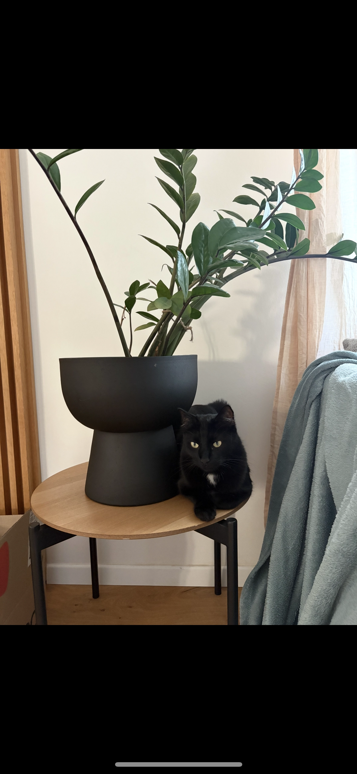 Louie  - Waldheimatweg 21, Graz