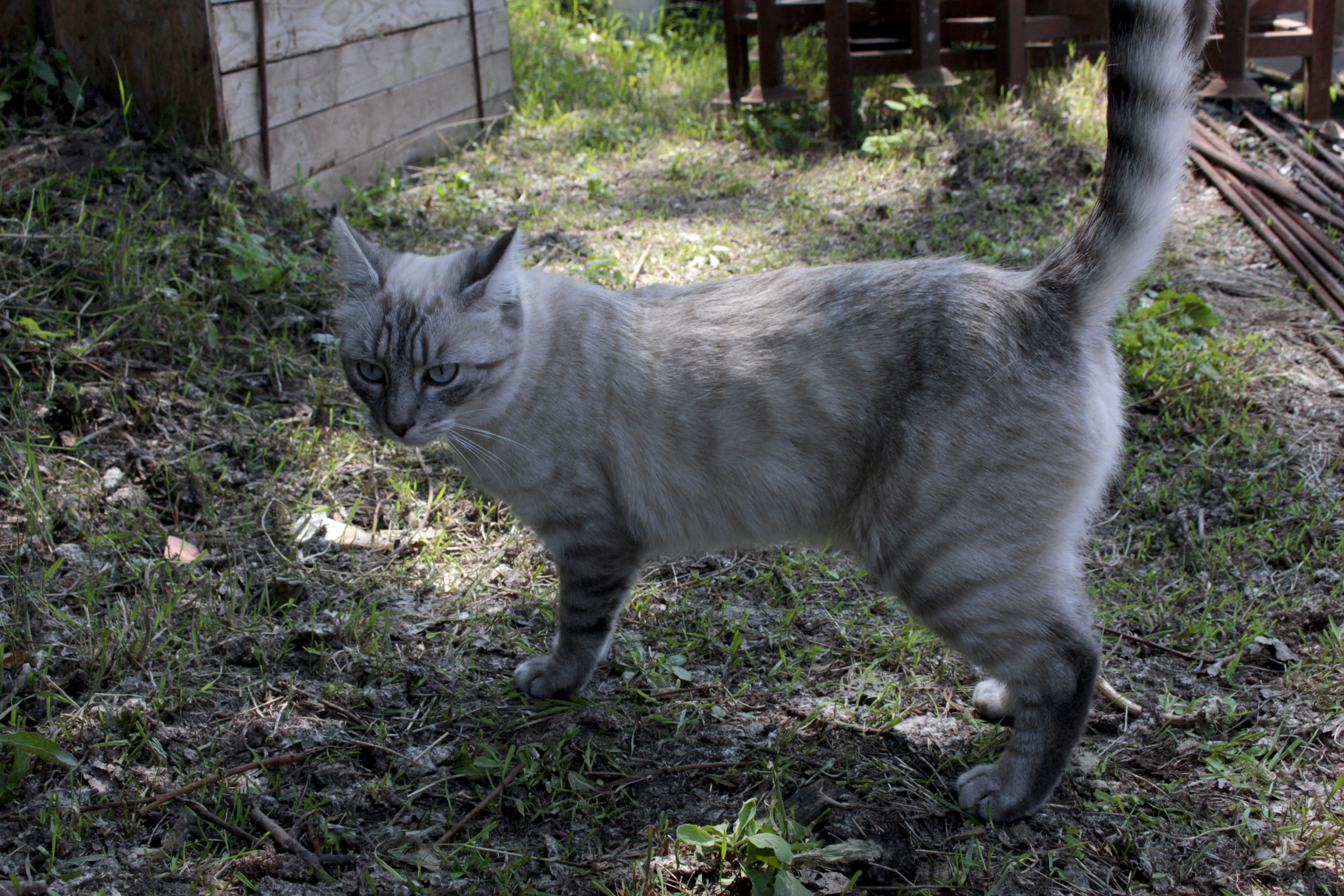 Loute - Vaartdijk, Anderlecht