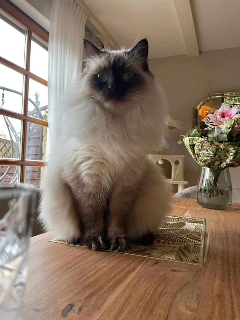 Bounty - Landwehrriethe, Garbsen