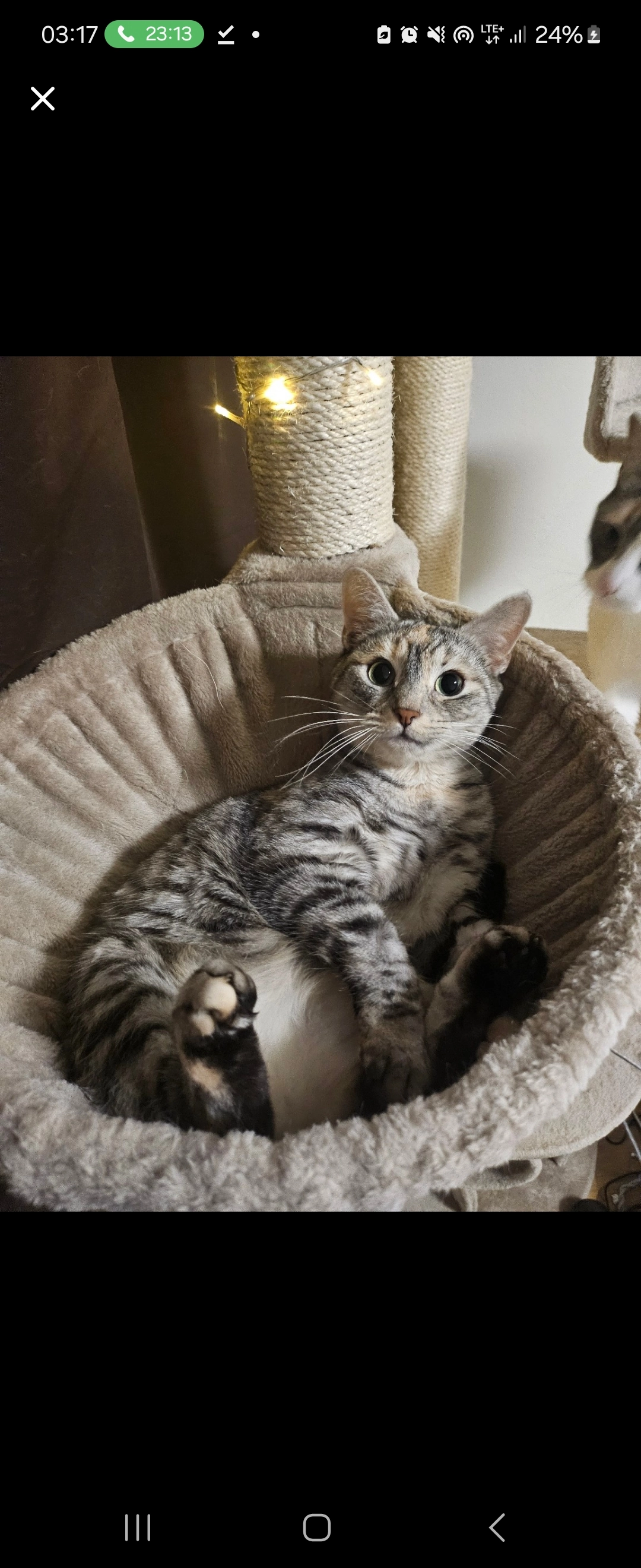 Crazy - Wallstraße, Northeim