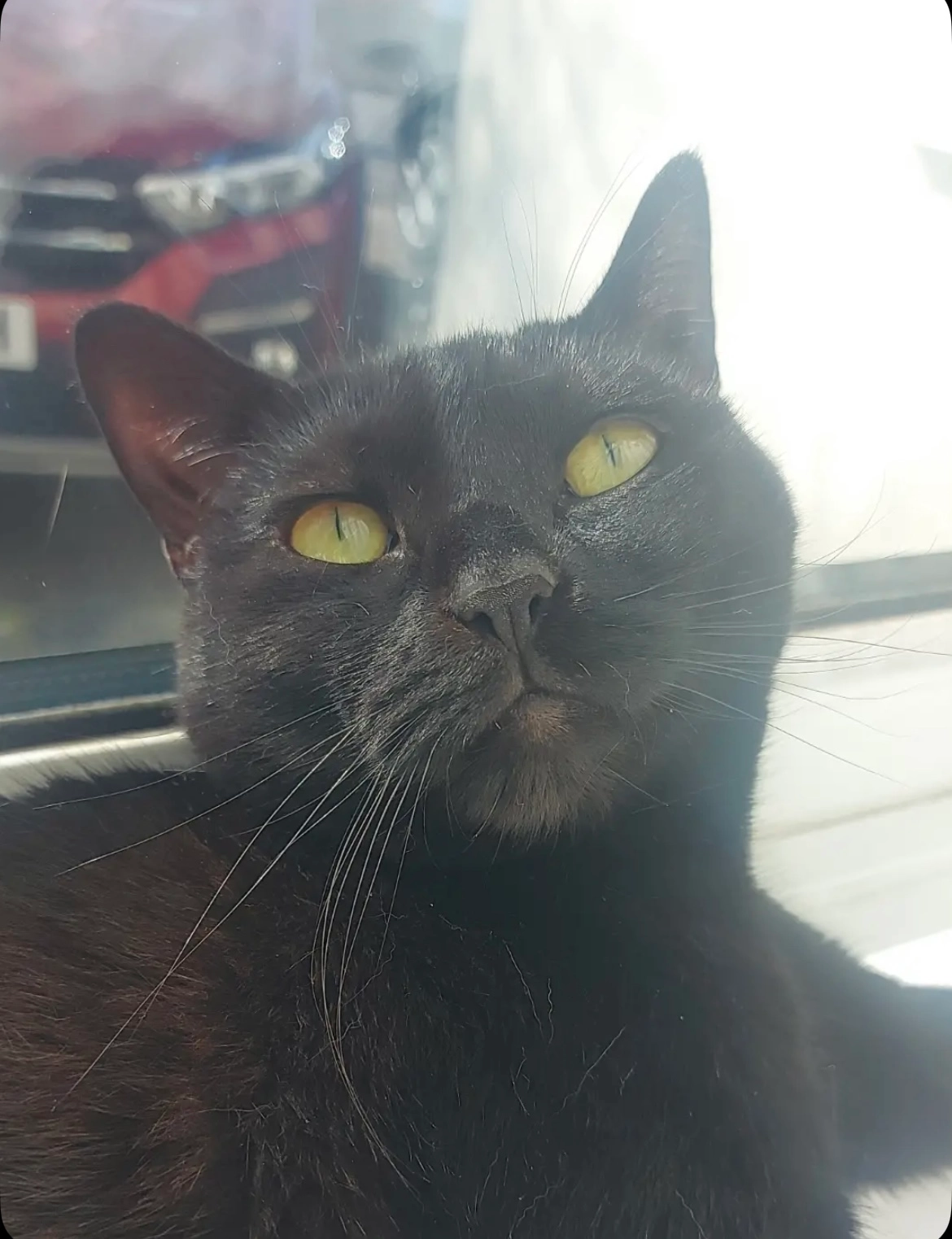 Luna - Hillside Road, Wirral